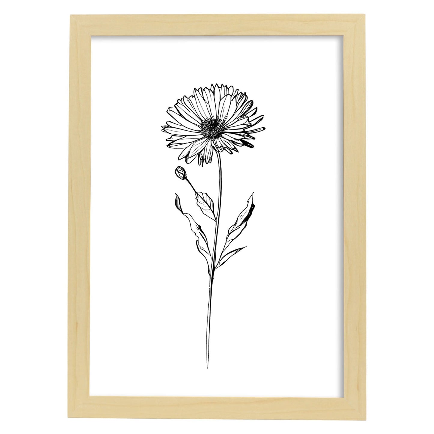 Lámina Nacnic Calendula Arte Minimalista Lineal_2