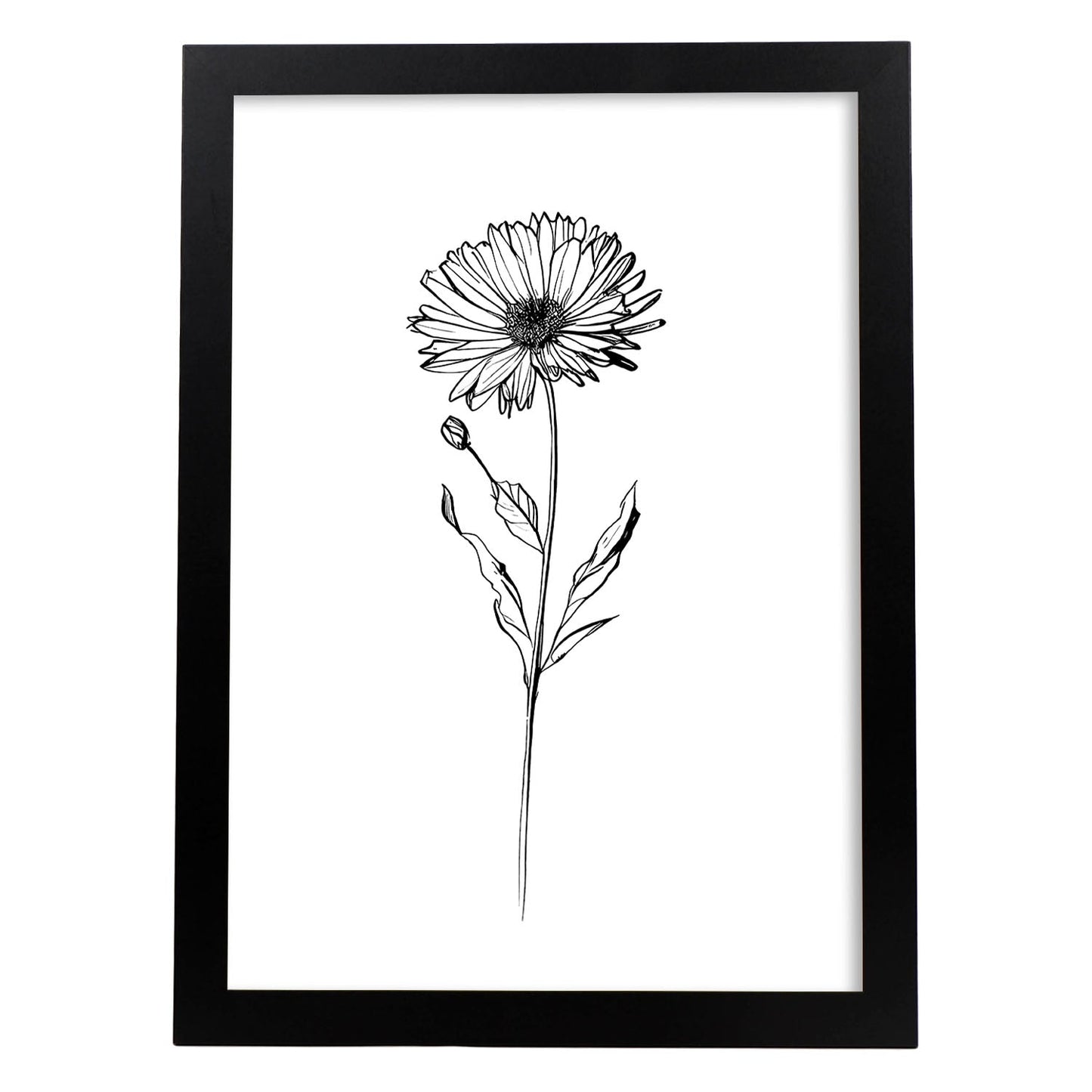 Lámina Nacnic Calendula Arte Minimalista Lineal_2