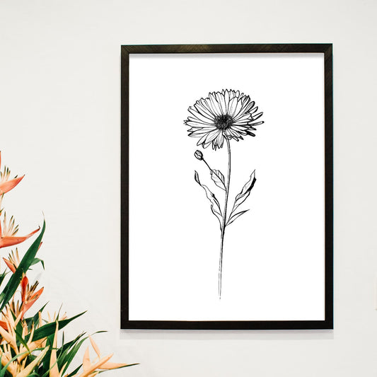 Lámina Nacnic Calendula Arte Minimalista Lineal_2
