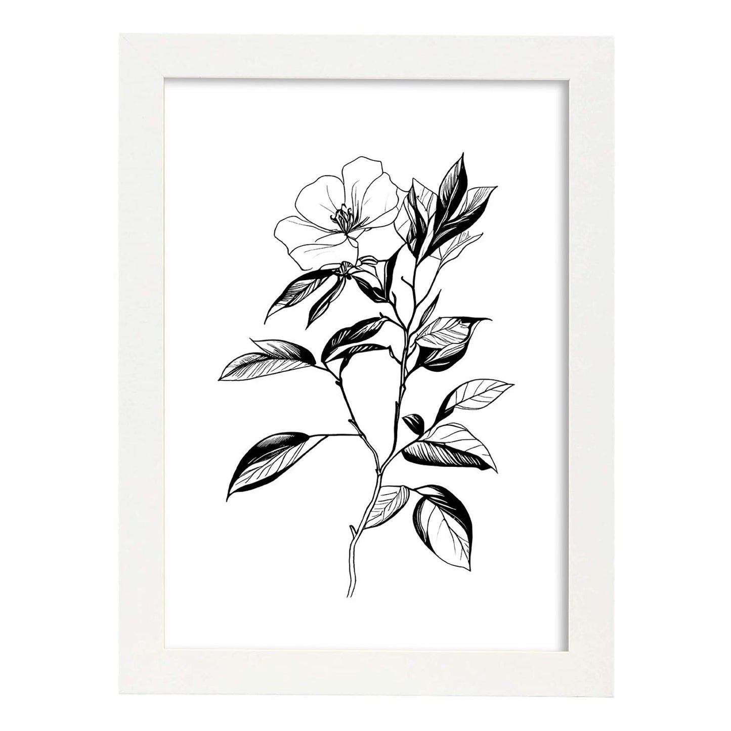 Lámina Nacnic Camelia Arte Minimalista Líneas