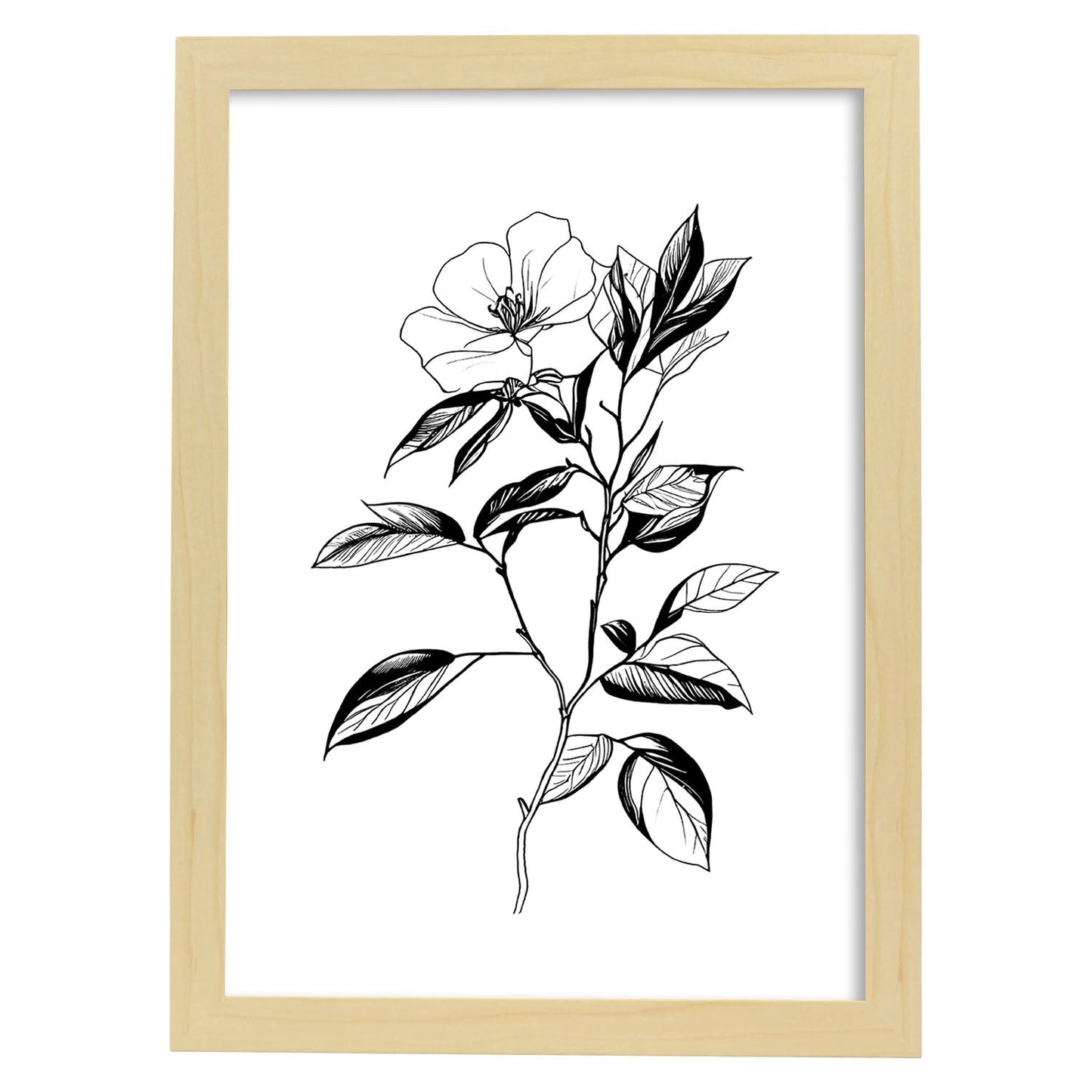 Lámina Nacnic Camelia Arte Minimalista Líneas