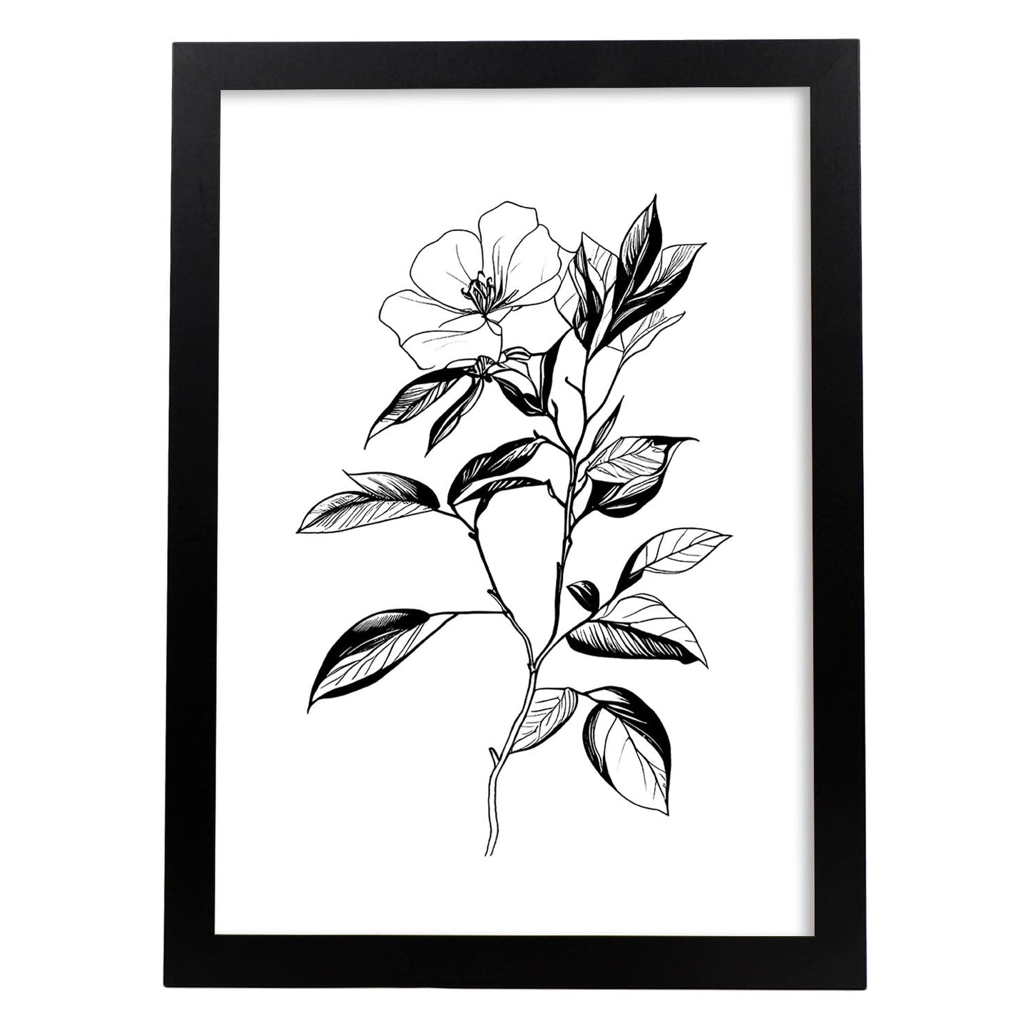 Lámina Nacnic Camelia Arte Minimalista Líneas