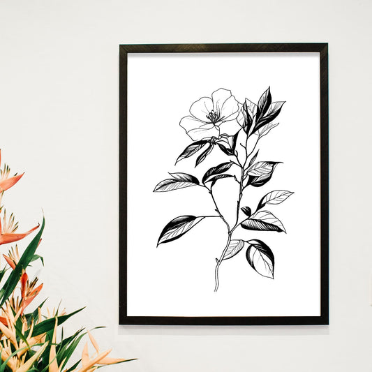 Lámina Nacnic Camelia Arte Minimalista Líneas