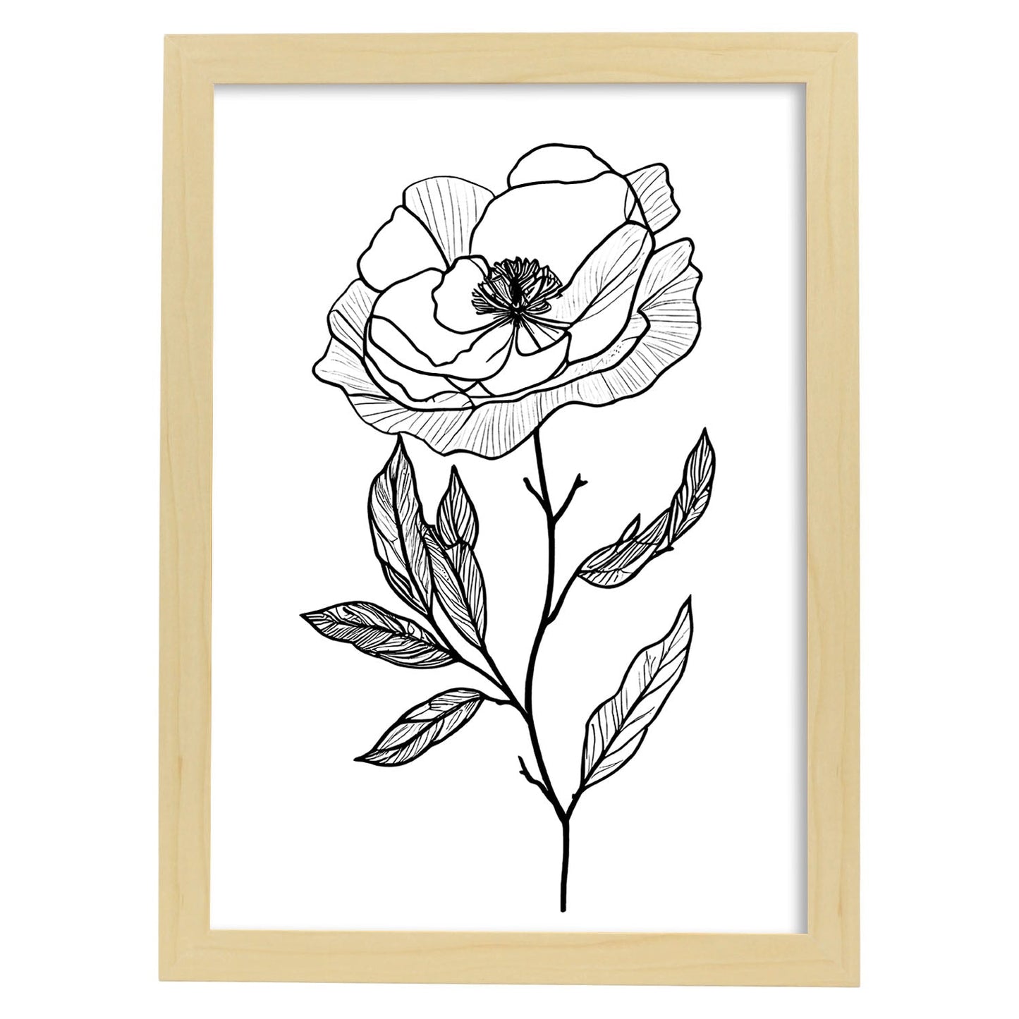 Nacnic Lámina Minimalista de Camelia en Linea_3