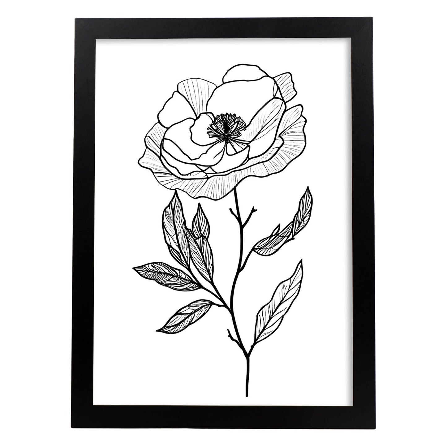 Nacnic Lámina Minimalista de Camelia en Linea_3