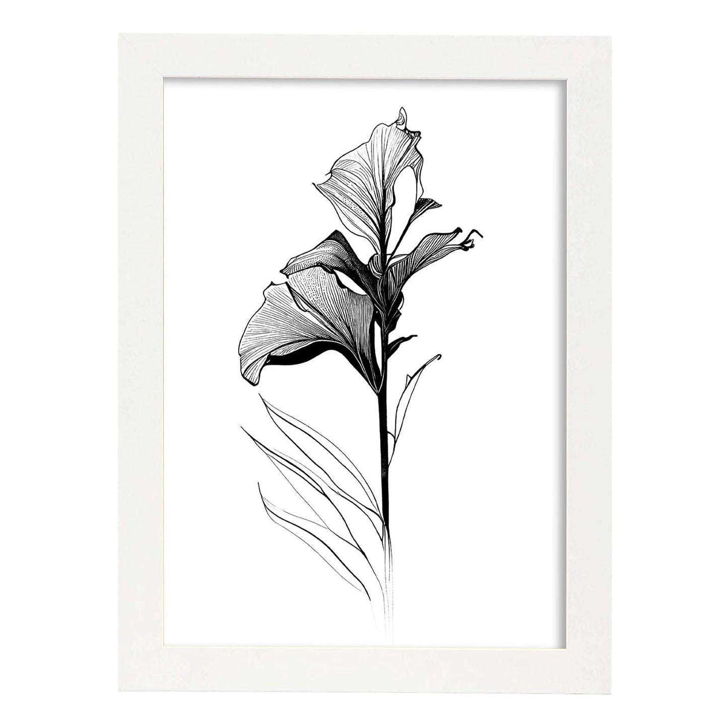 Nacnic Lámina de Arte Minimalista Canna_2