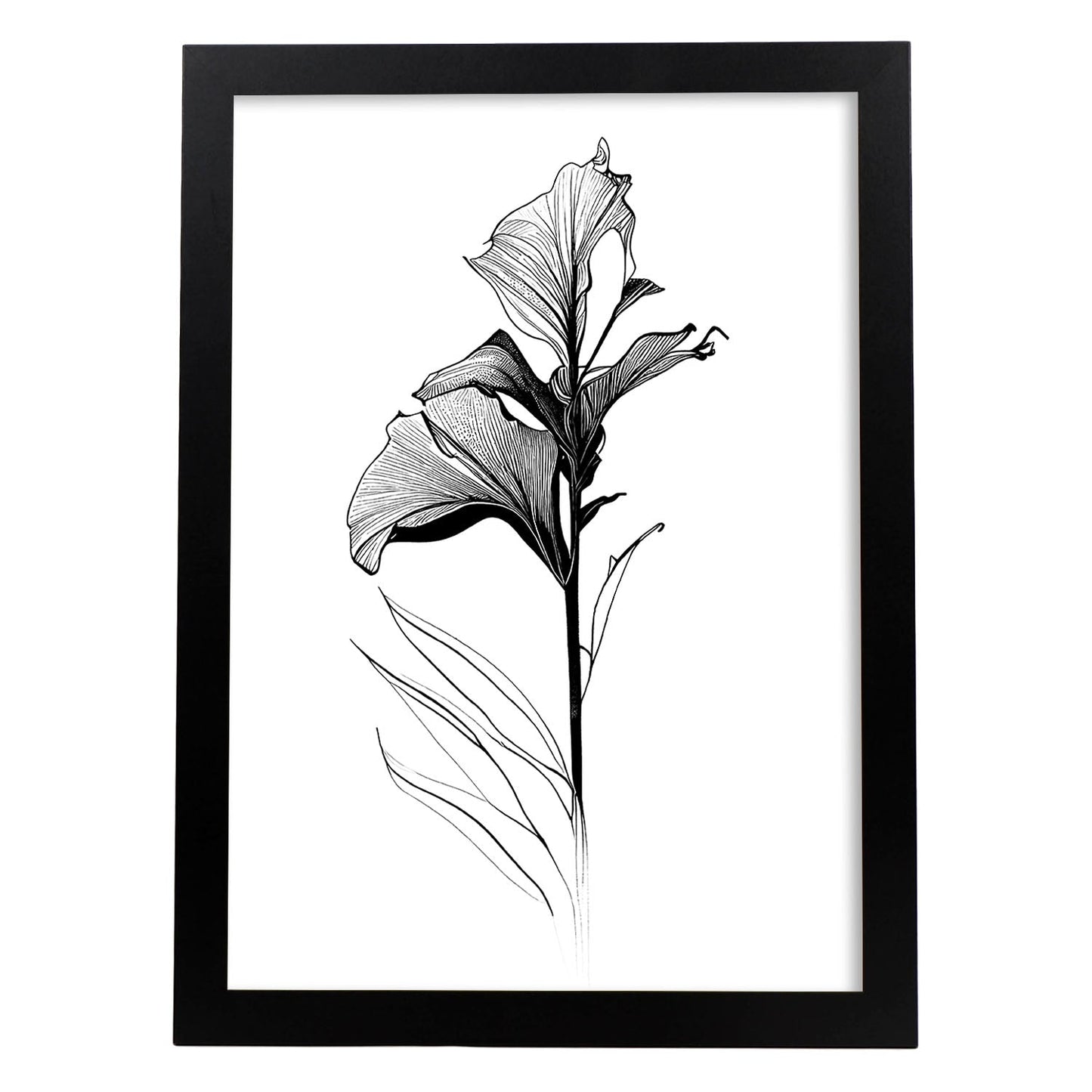 Nacnic Lámina de Arte Minimalista Canna_2