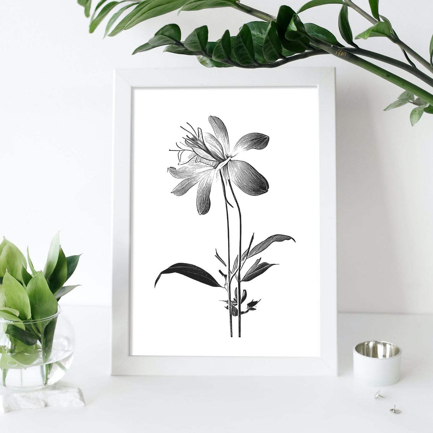 Lámina Nacnic Columbine Arte Minimalista Lineal