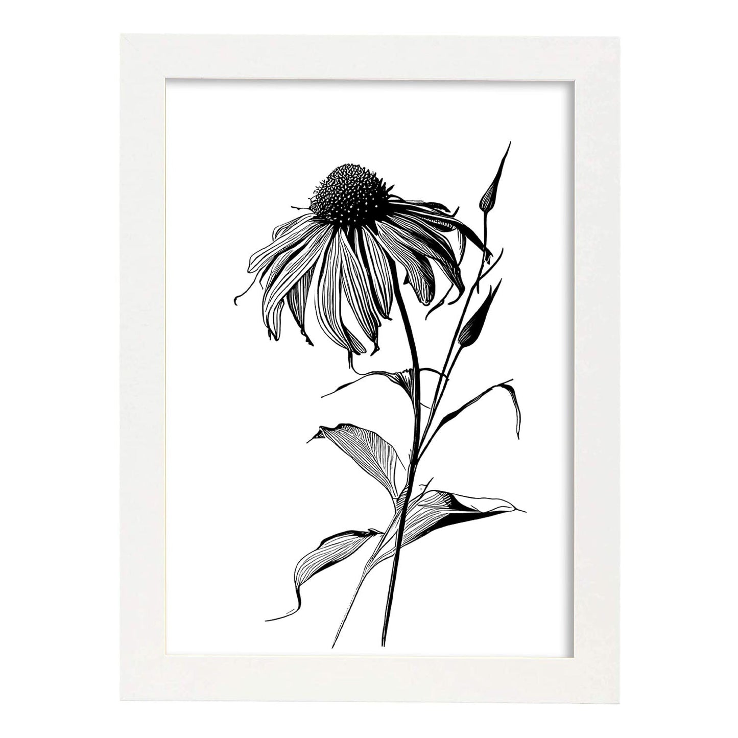 Lámina Minimalista de Nacnic con Arte de Líneas de Coneflower