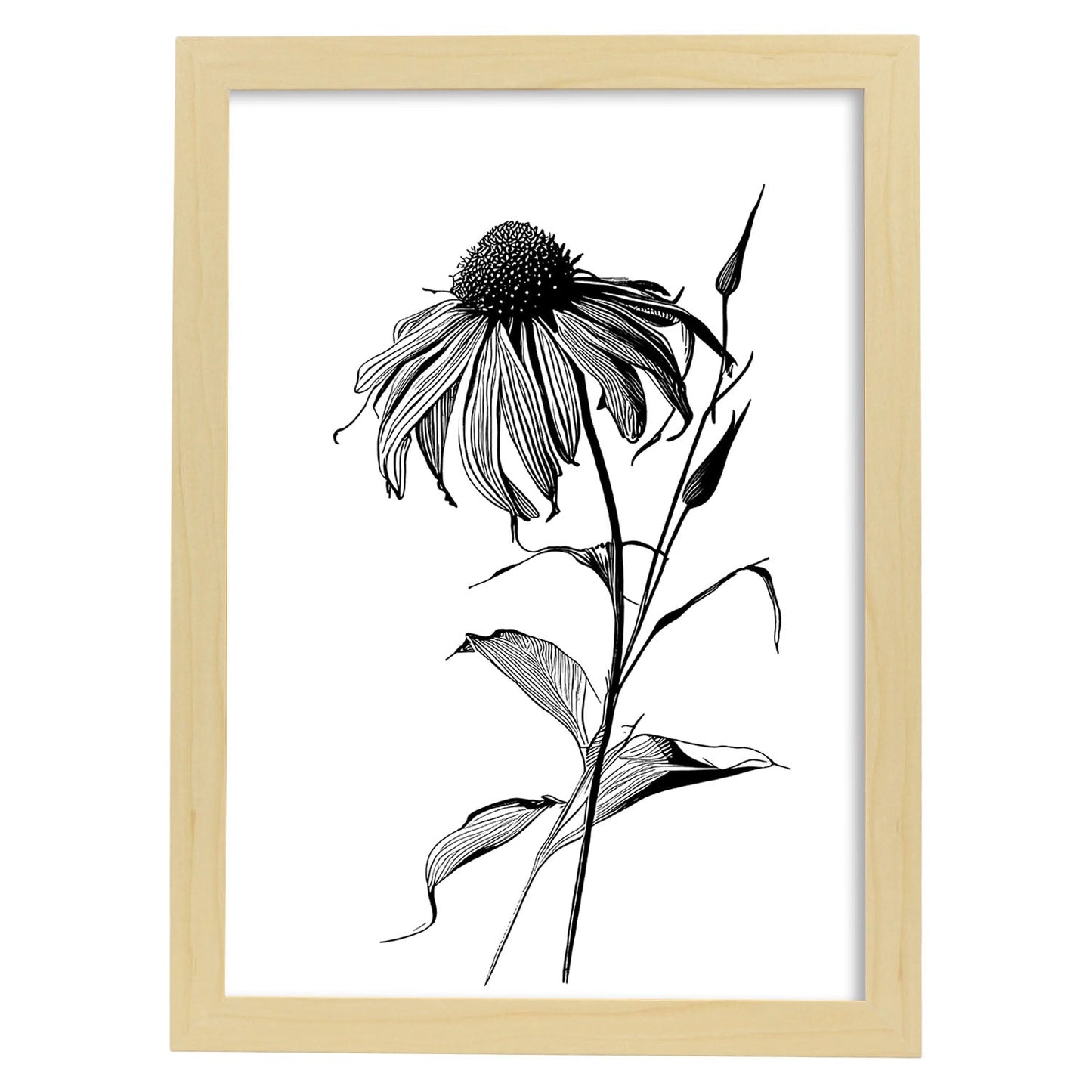 Lámina Minimalista de Nacnic con Arte de Líneas de Coneflower