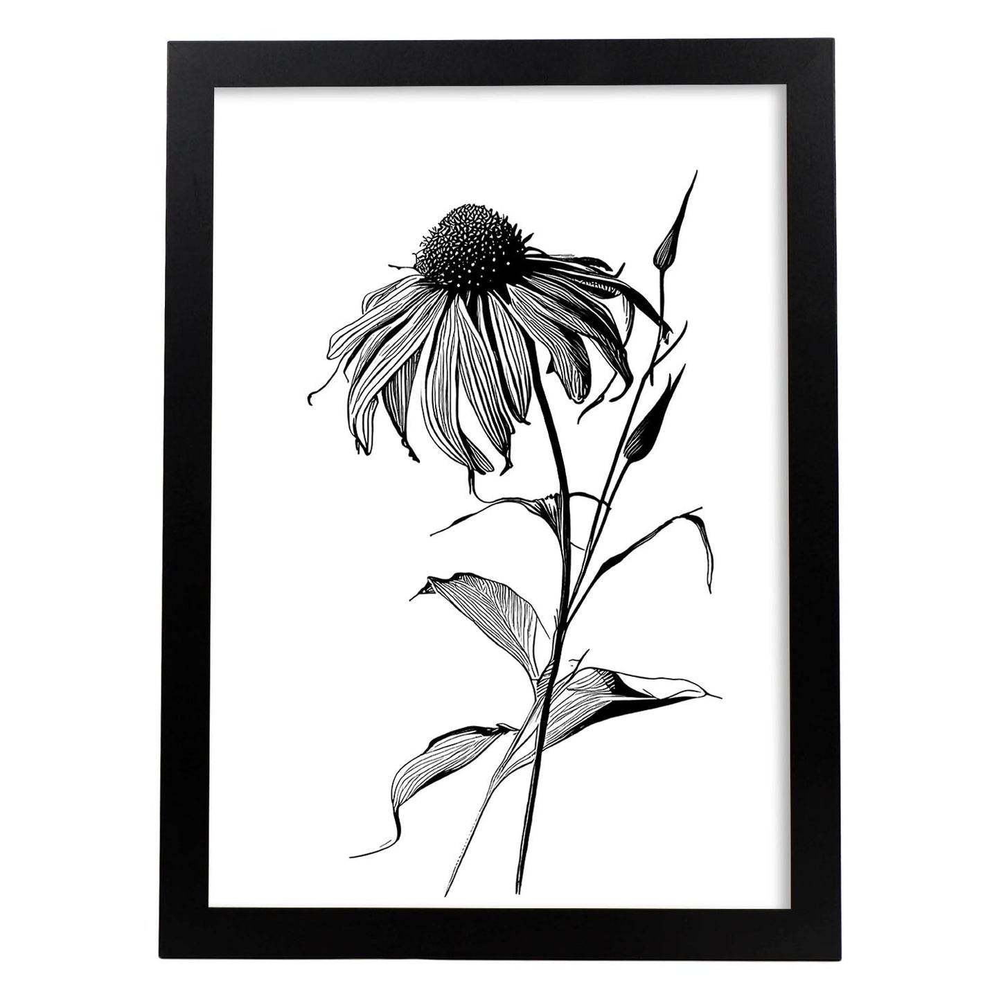 Lámina Minimalista de Nacnic con Arte de Líneas de Coneflower