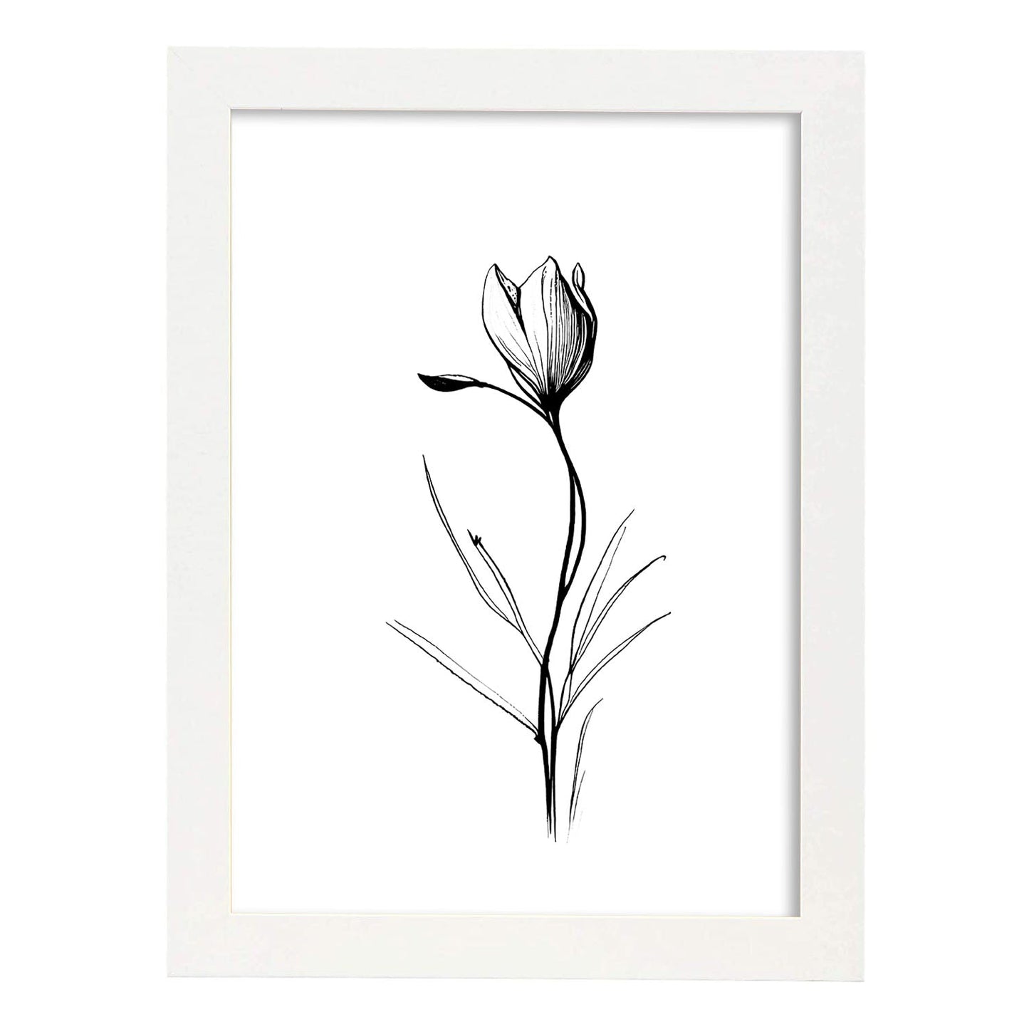 Laminas Nacnic Minimalista de Crocus
