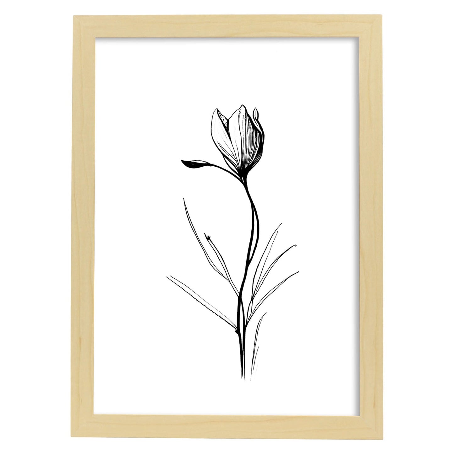 Laminas Nacnic Minimalista de Crocus