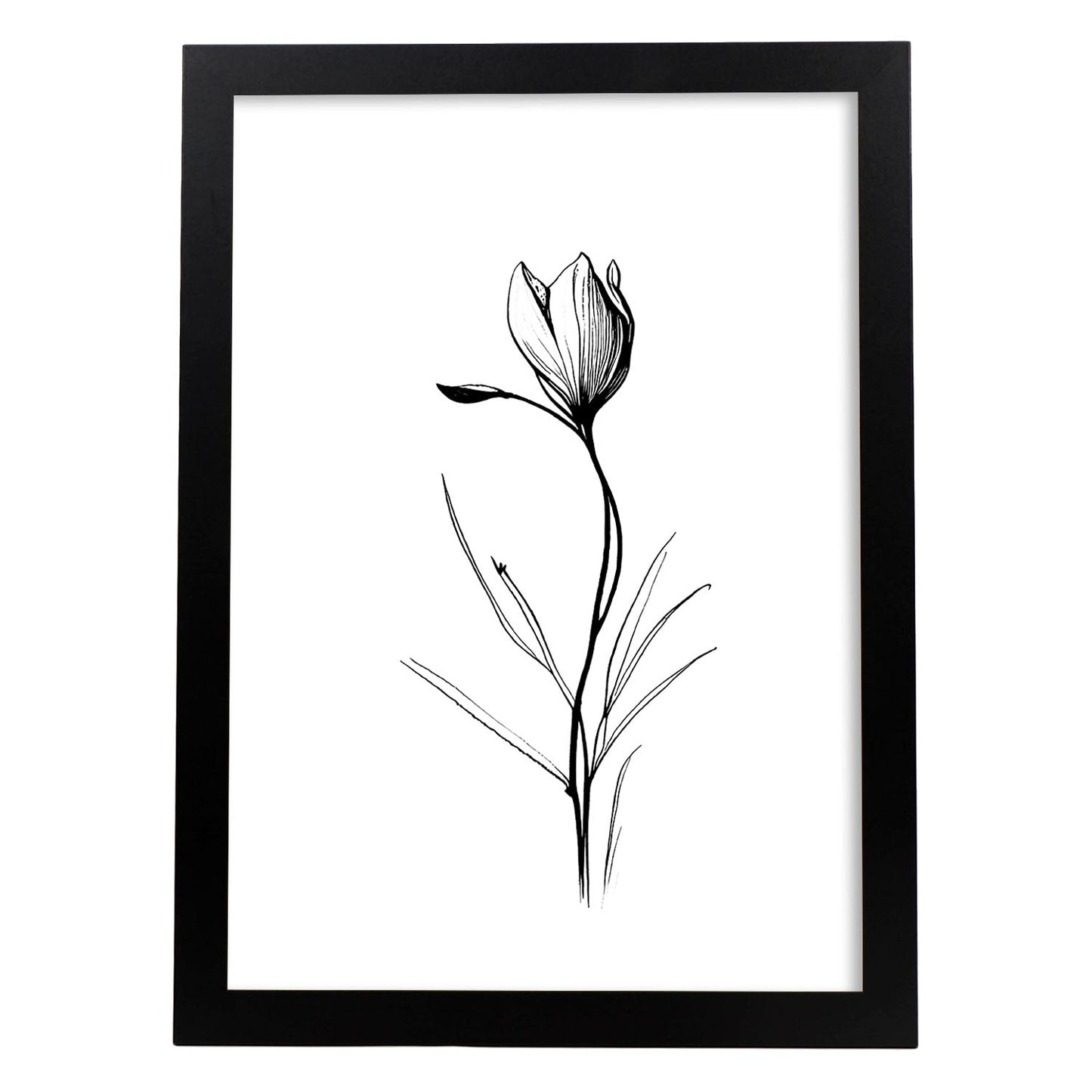 Laminas Nacnic Minimalista de Crocus