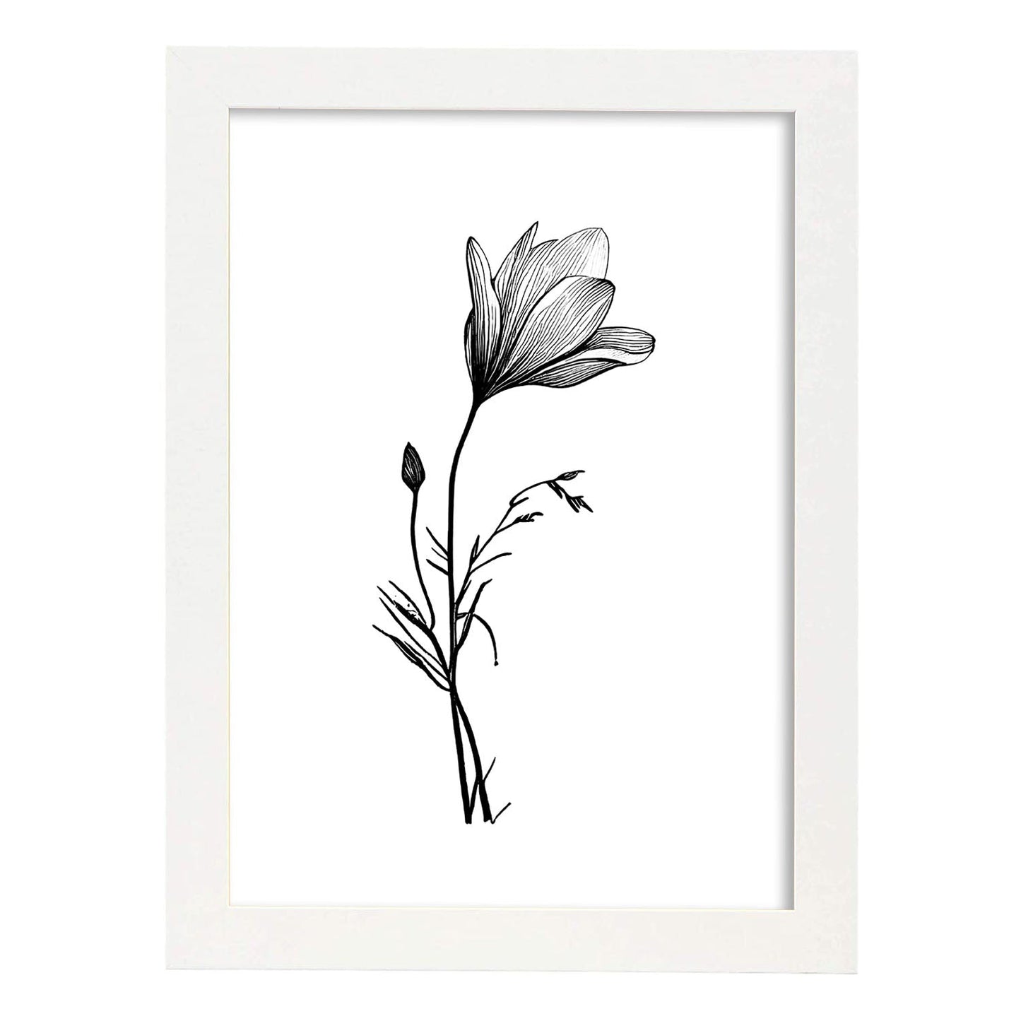 Láminas Nacnic Crocus Arte Minimalista Lineal