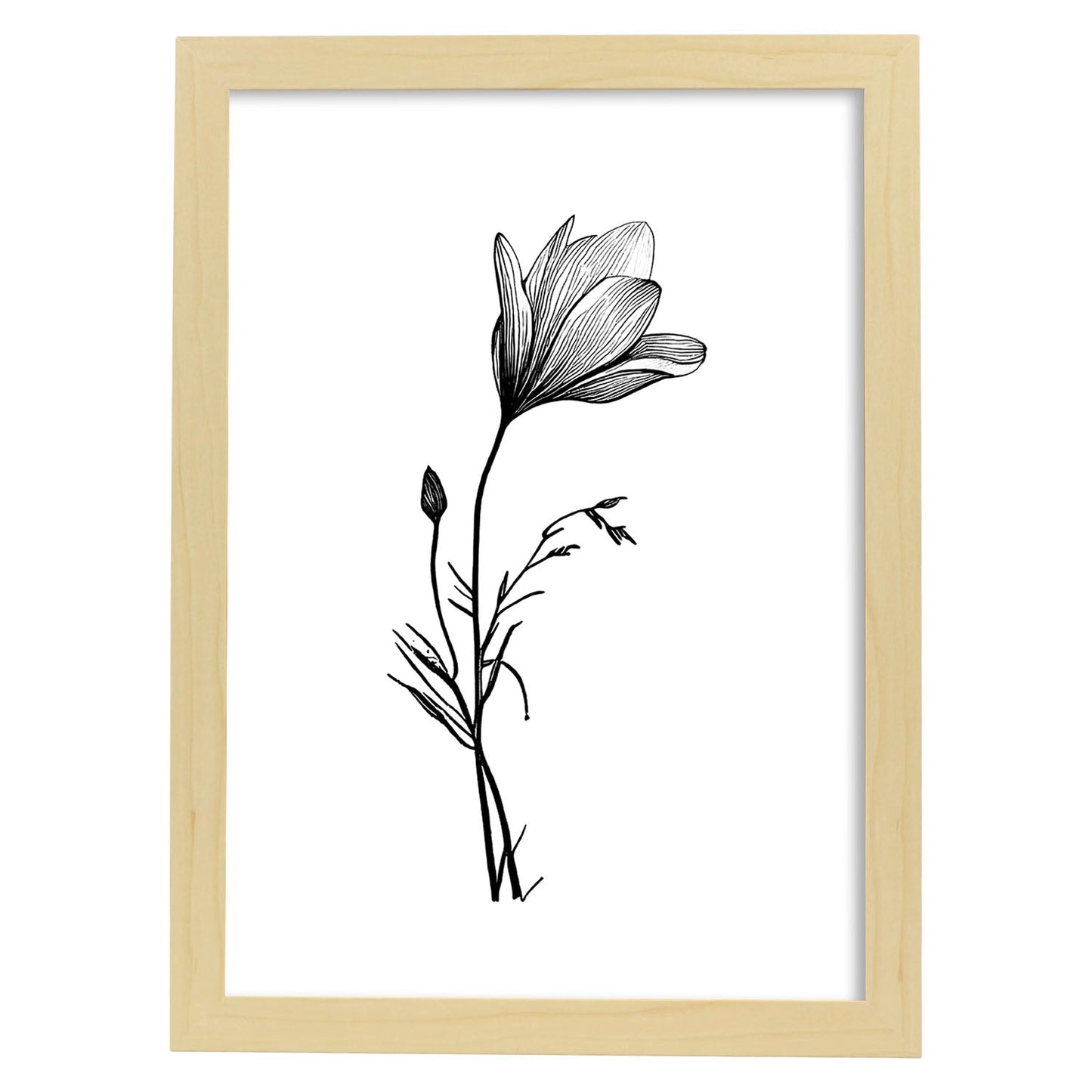 Láminas Nacnic Crocus Arte Minimalista Lineal