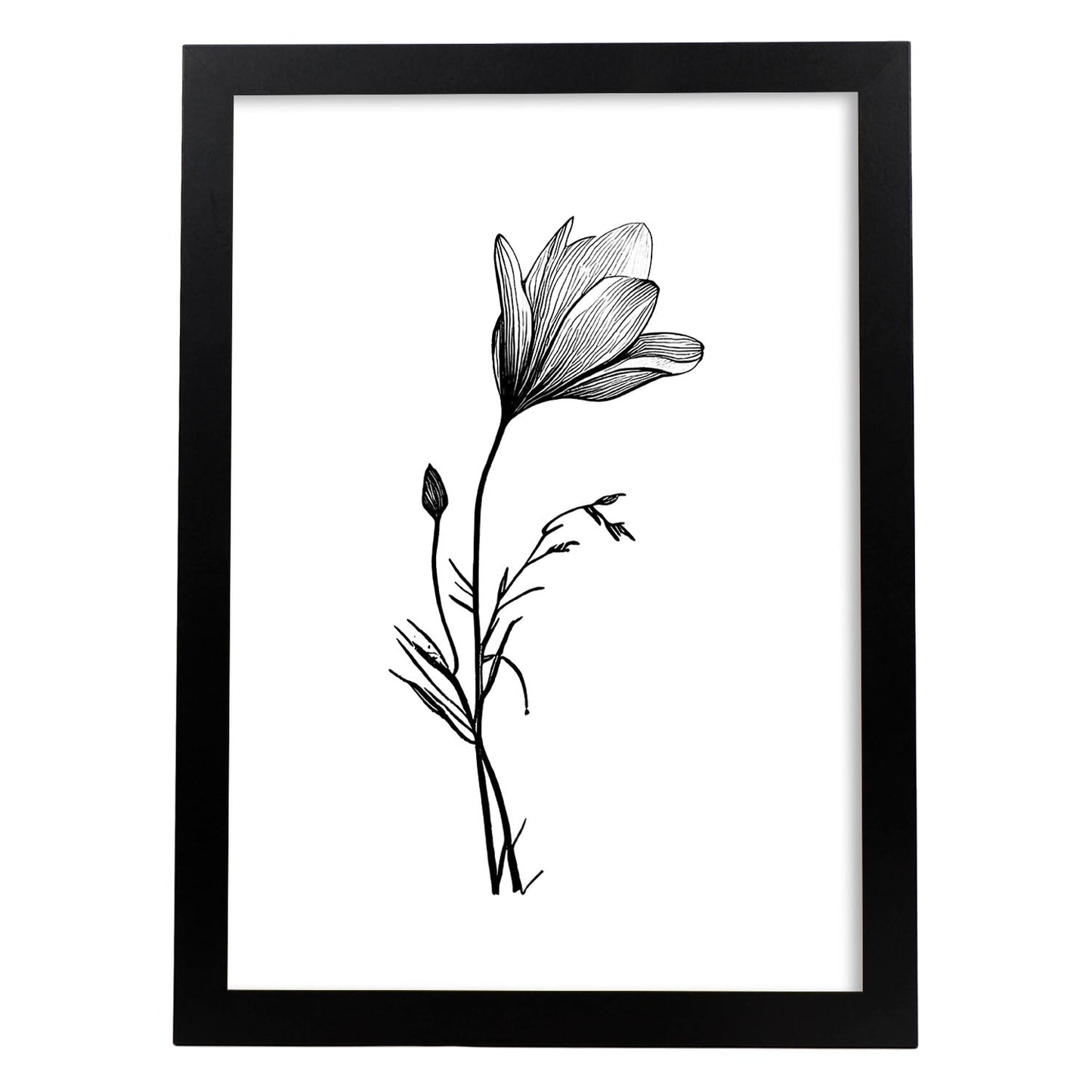 Láminas Nacnic Crocus Arte Minimalista Lineal