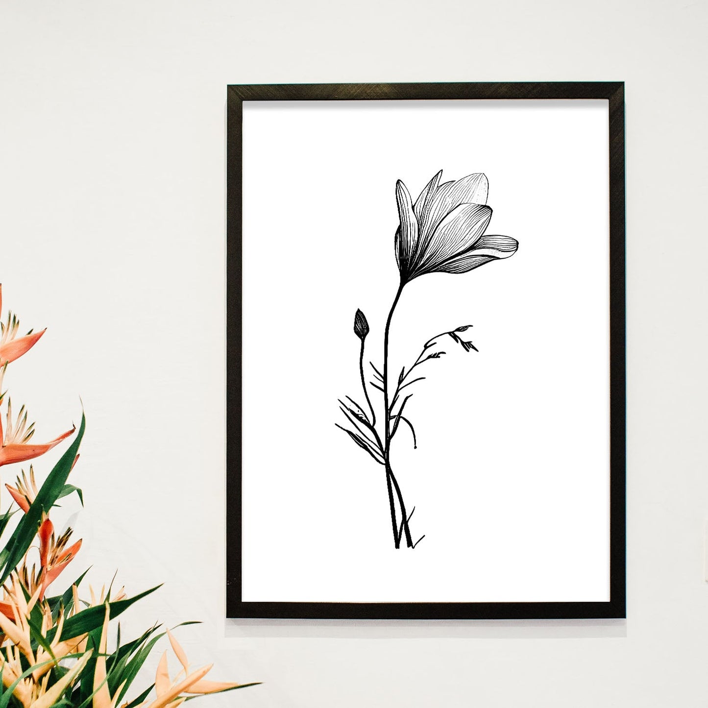 Láminas Nacnic Crocus Arte Minimalista Lineal