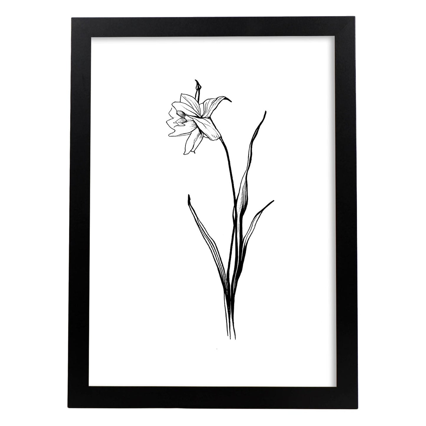 Lámina Nacnic Daffodil Arte Minimalista Lineal