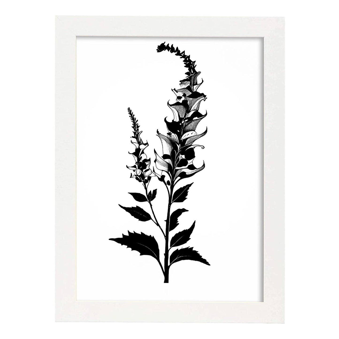 Lámina Minimalista de Dedalera Nacnic