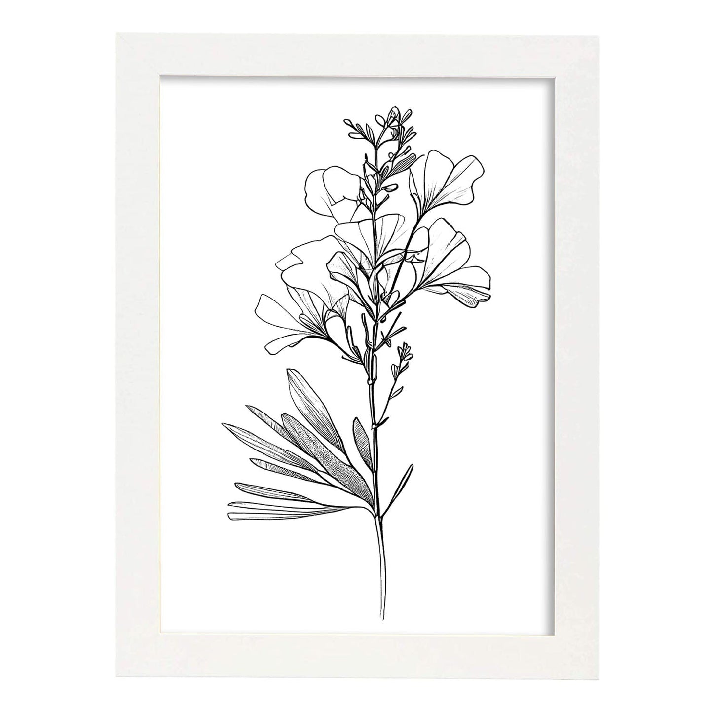 Laminas Nacnic de Arte Minimalista Freesia