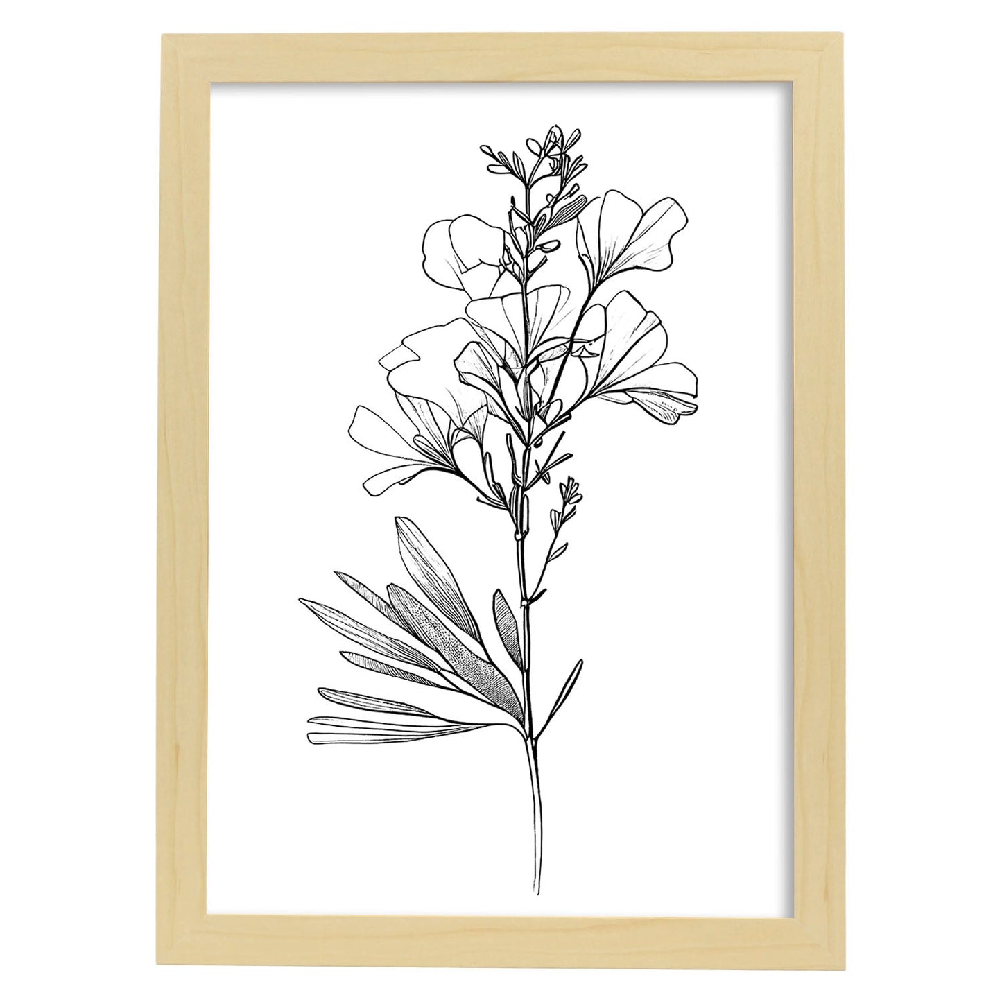 Laminas Nacnic de Arte Minimalista Freesia