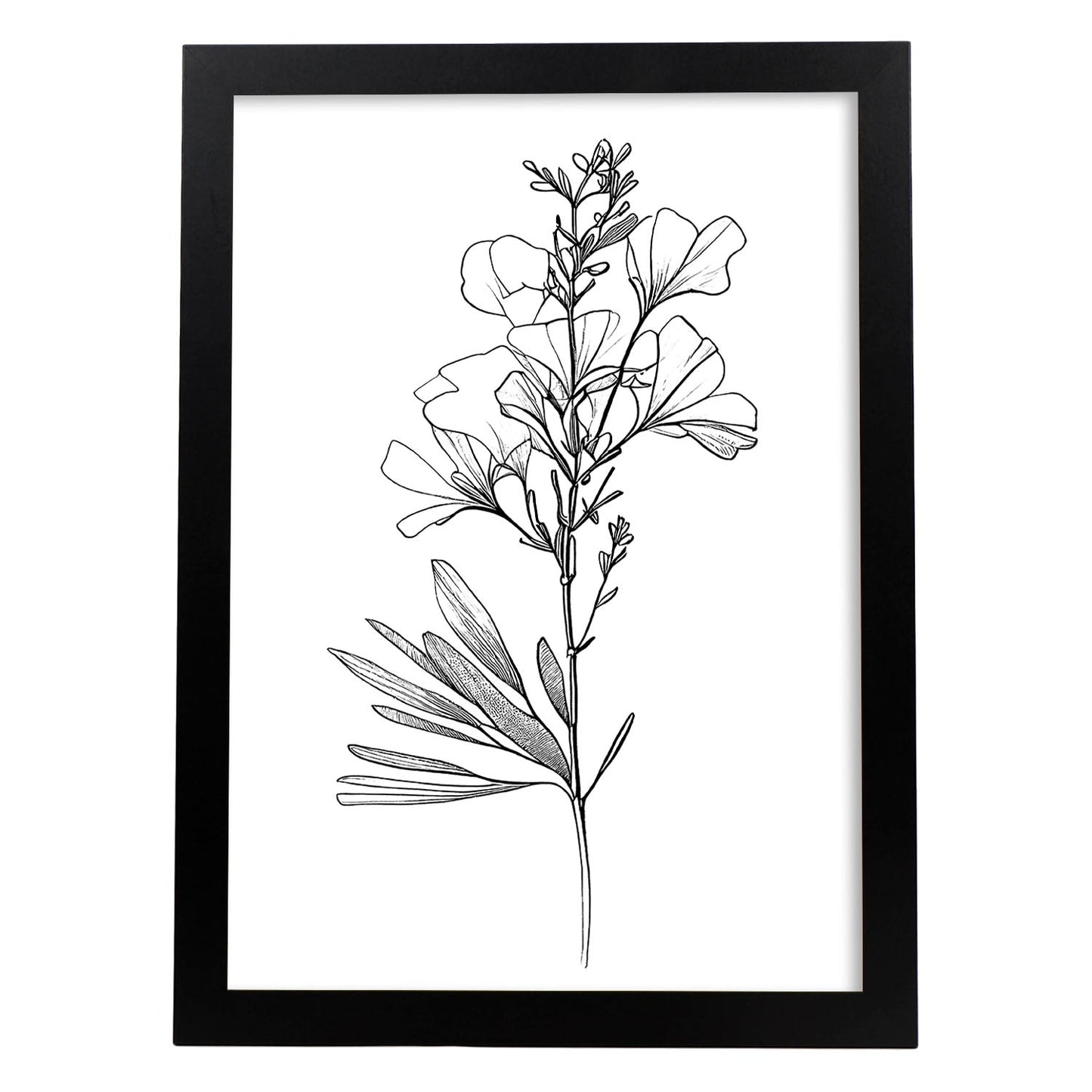 Laminas Nacnic de Arte Minimalista Freesia