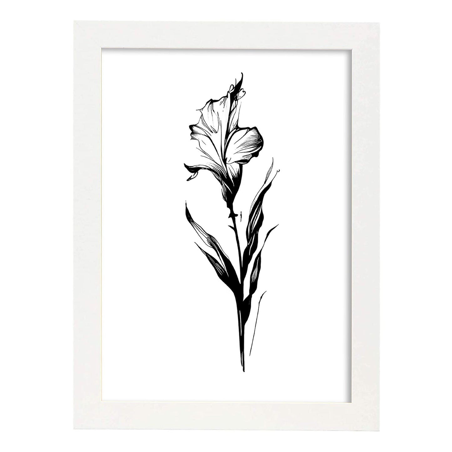 Lámina Nacnic de Gladiolus en Arte Minimalista