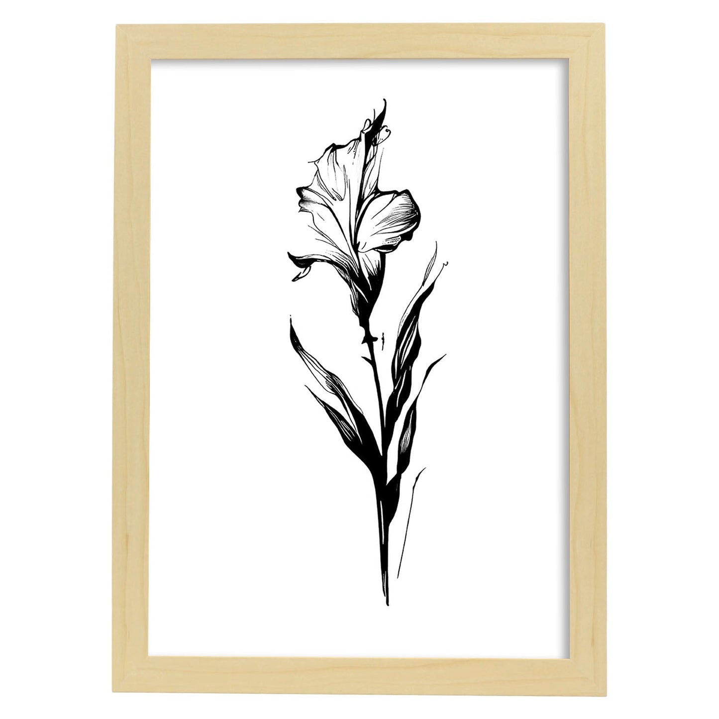 Lámina Nacnic de Gladiolus en Arte Minimalista