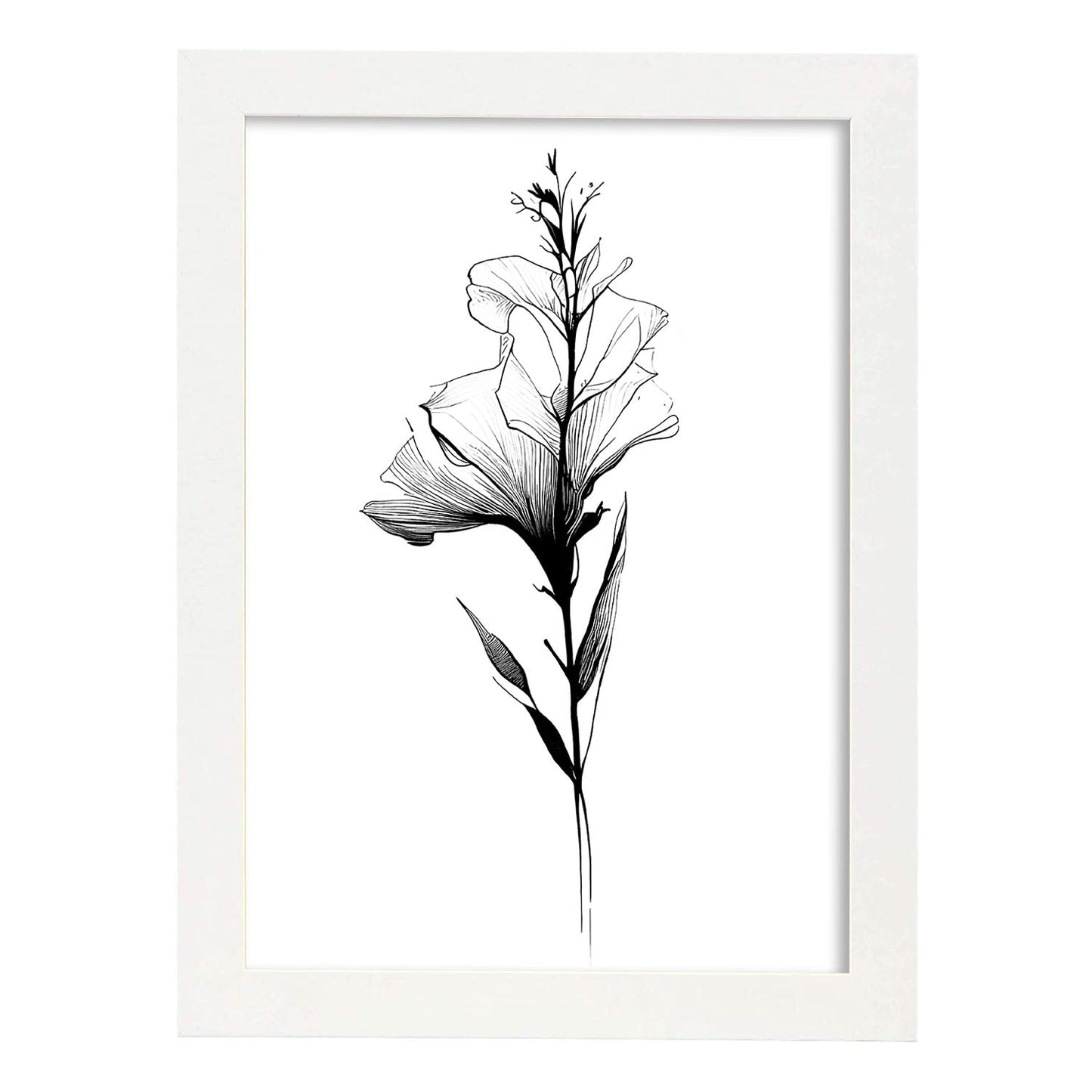 Lámina Nacnic Gladiolus Arte Minimalista en Línea_3