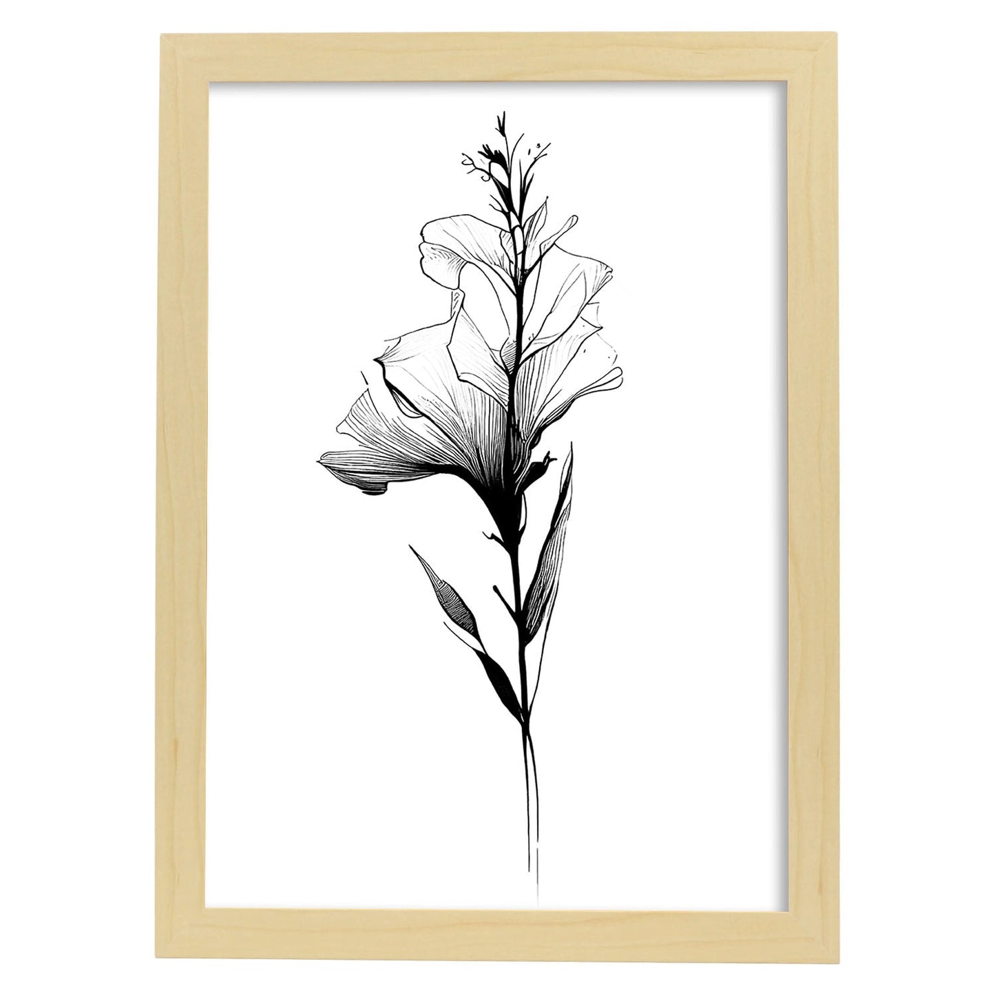 Lámina Nacnic Gladiolus Arte Minimalista en Línea_3