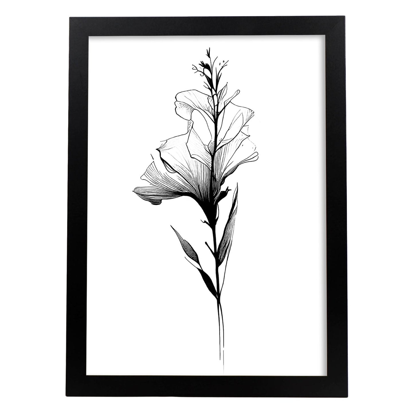 Lámina Nacnic Gladiolus Arte Minimalista en Línea_3