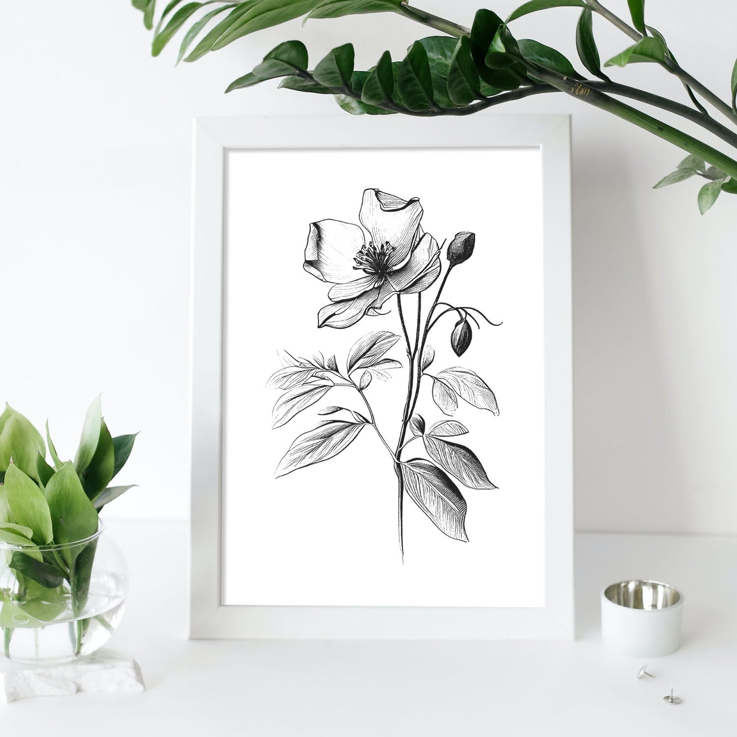 Nacnic Laminas Minimalistas de Hellebore en Arte Lineal