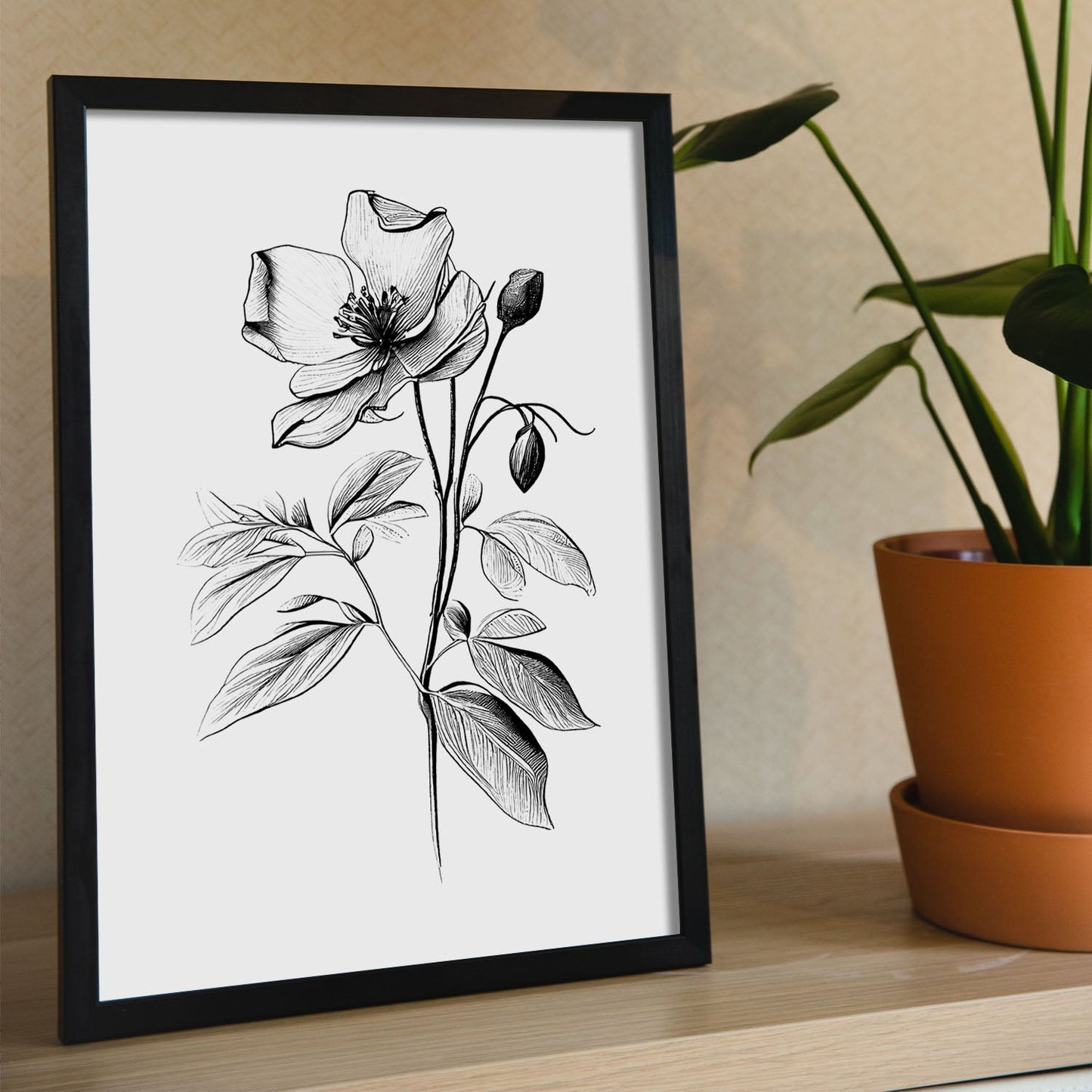 Nacnic Laminas Minimalistas de Hellebore en Arte Lineal