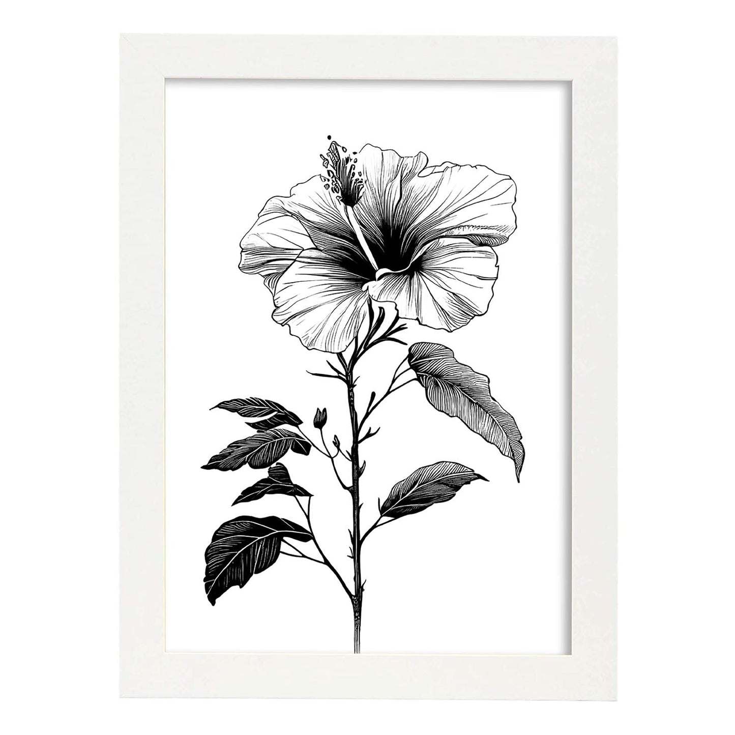 Lámina Nacnic Minimalista de Hibisco en Linea_2