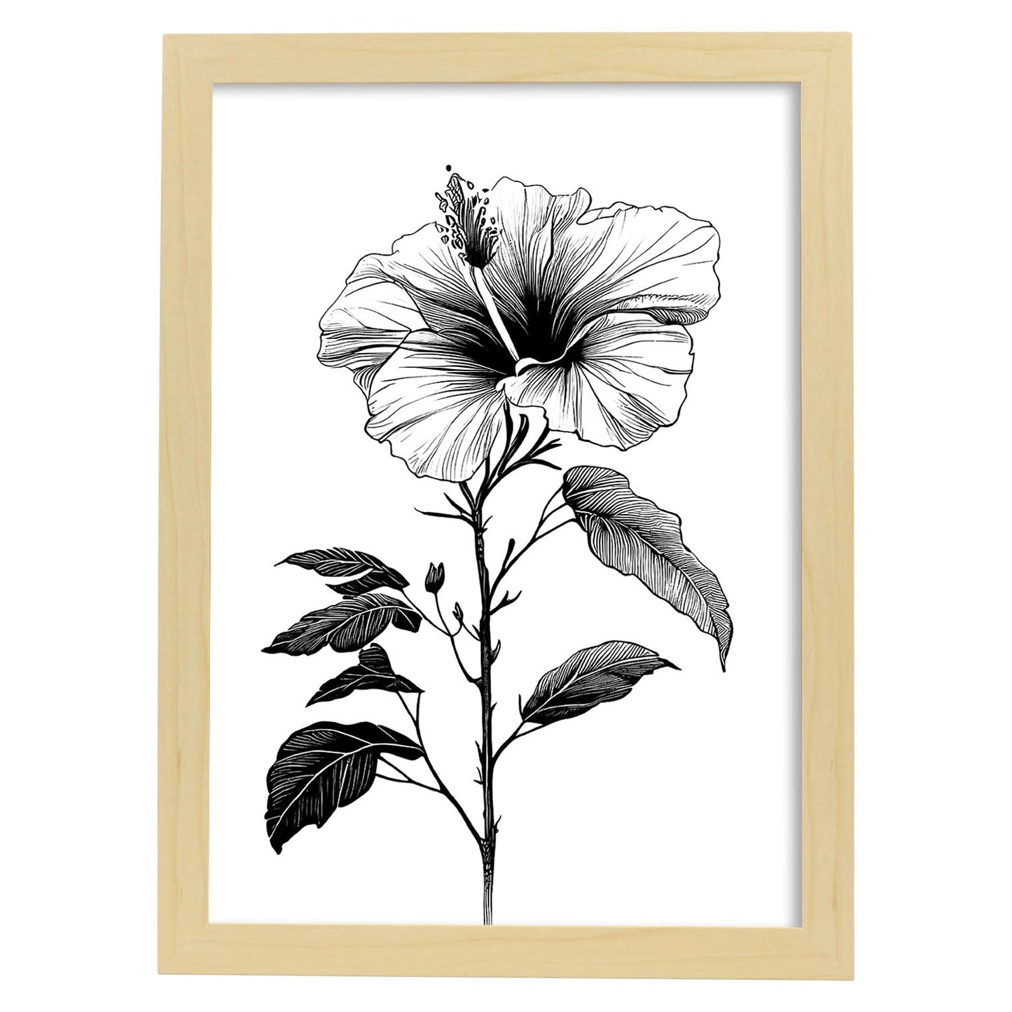 Lámina Nacnic Minimalista de Hibisco en Linea_2
