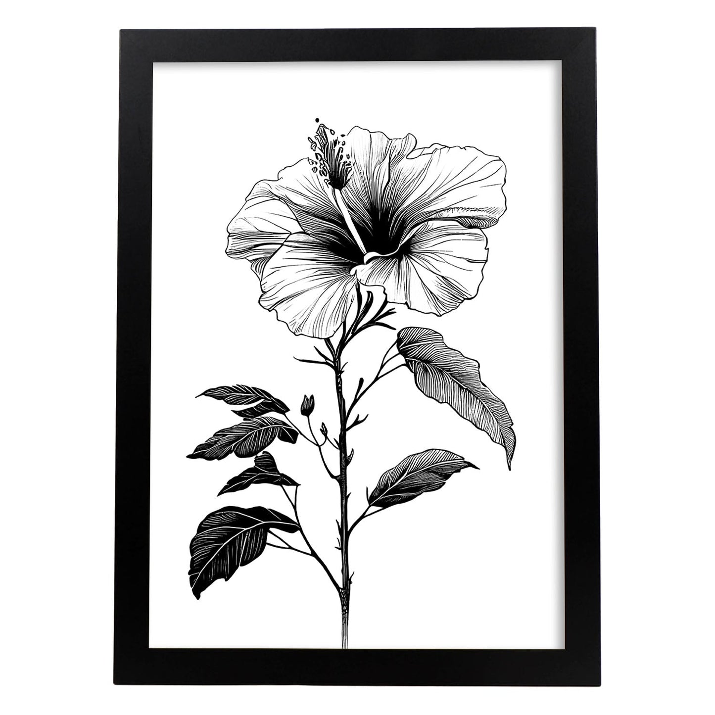 Lámina Nacnic Minimalista de Hibisco en Linea_2