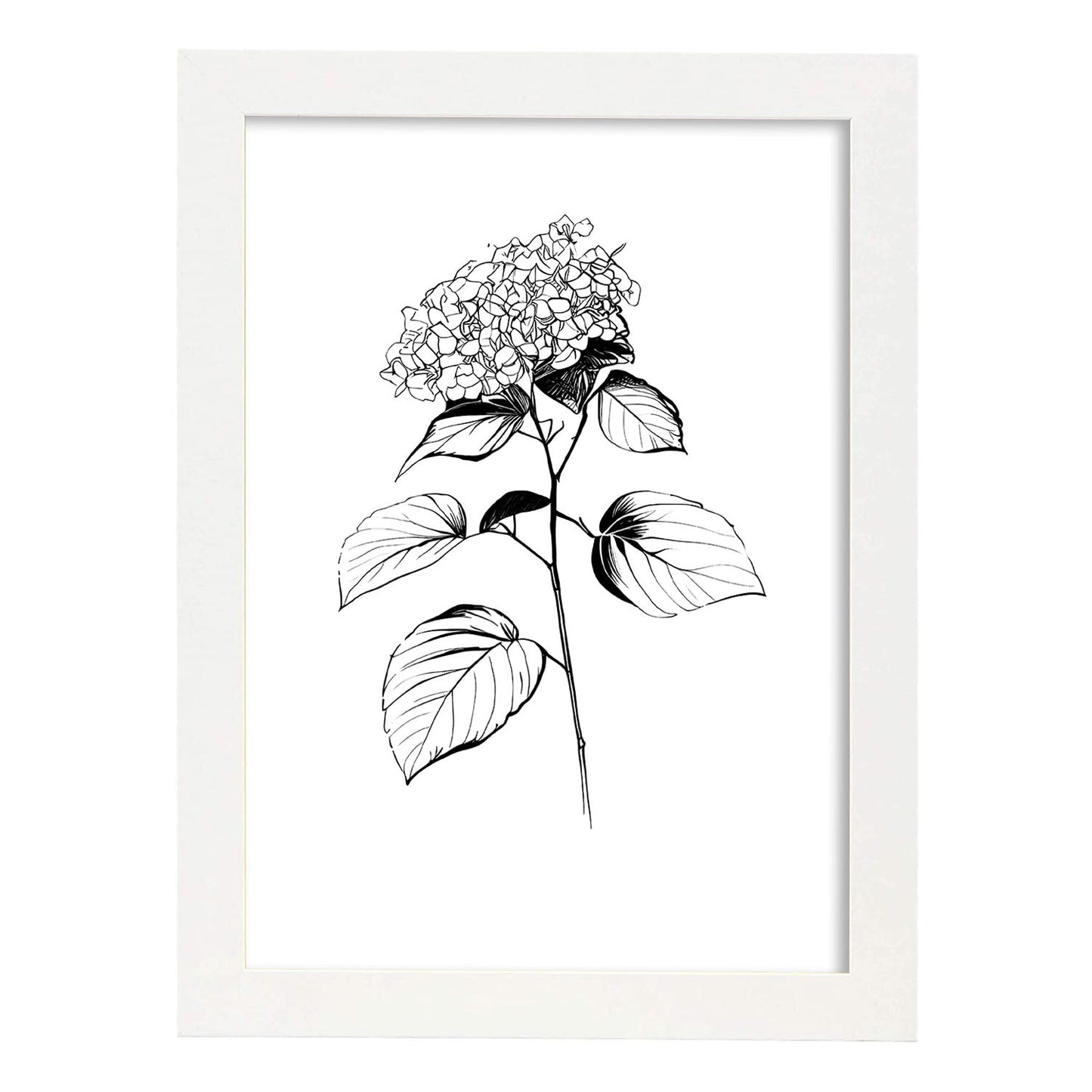 Lámina Minimalista de Hortensia Nacnic