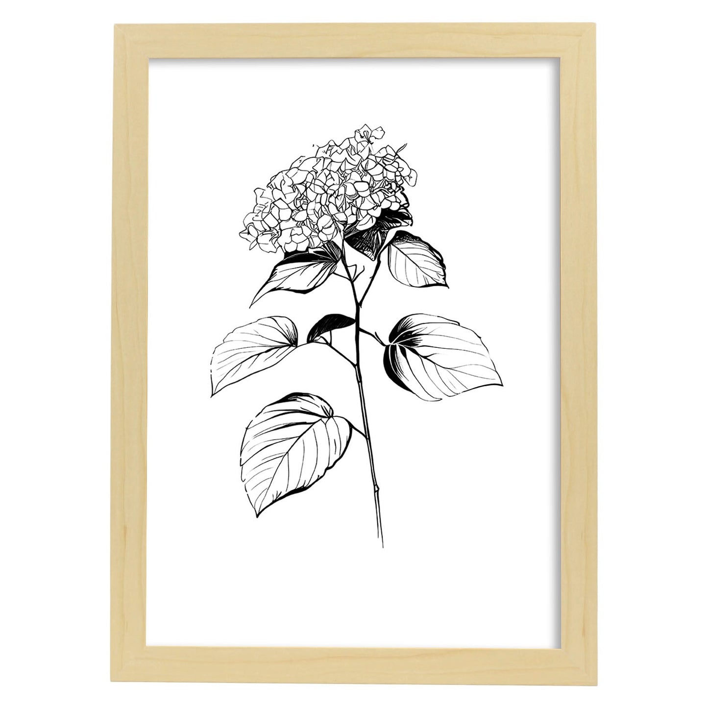 Lámina Minimalista de Hortensia Nacnic