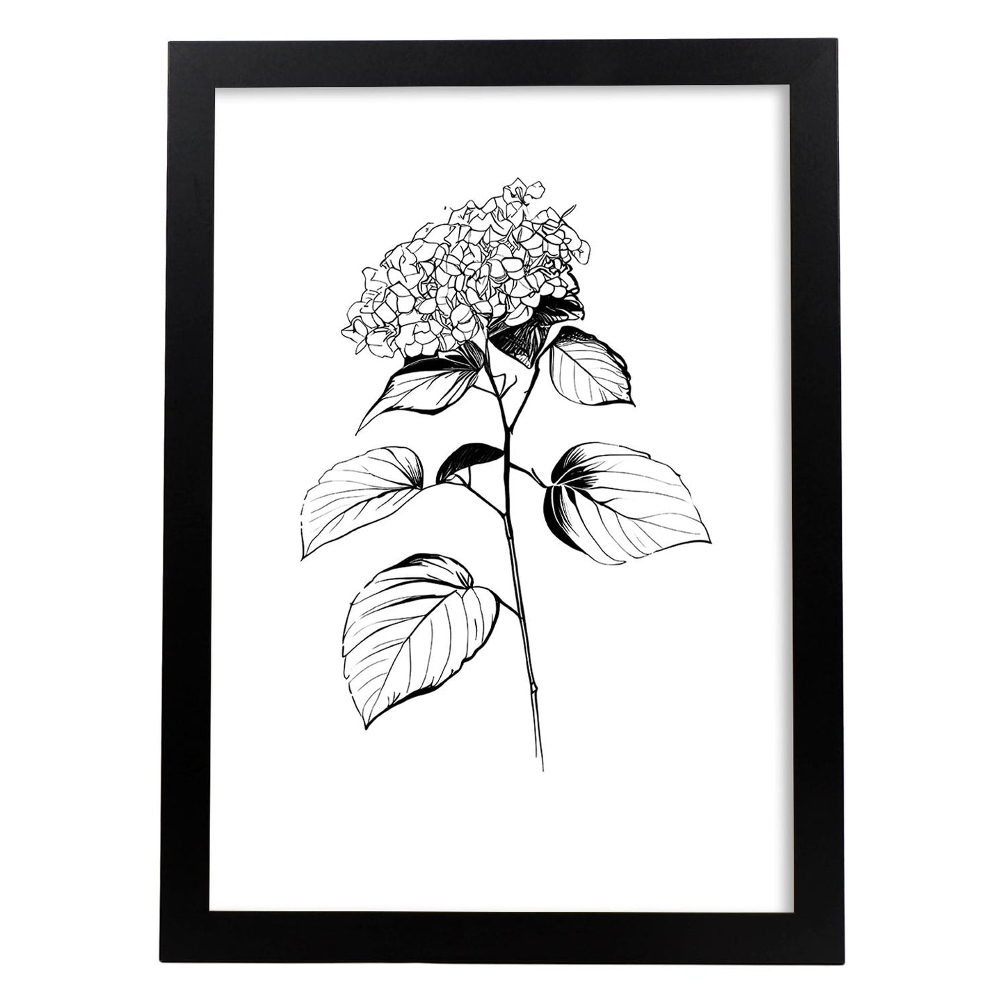 Lámina Minimalista de Hortensia Nacnic