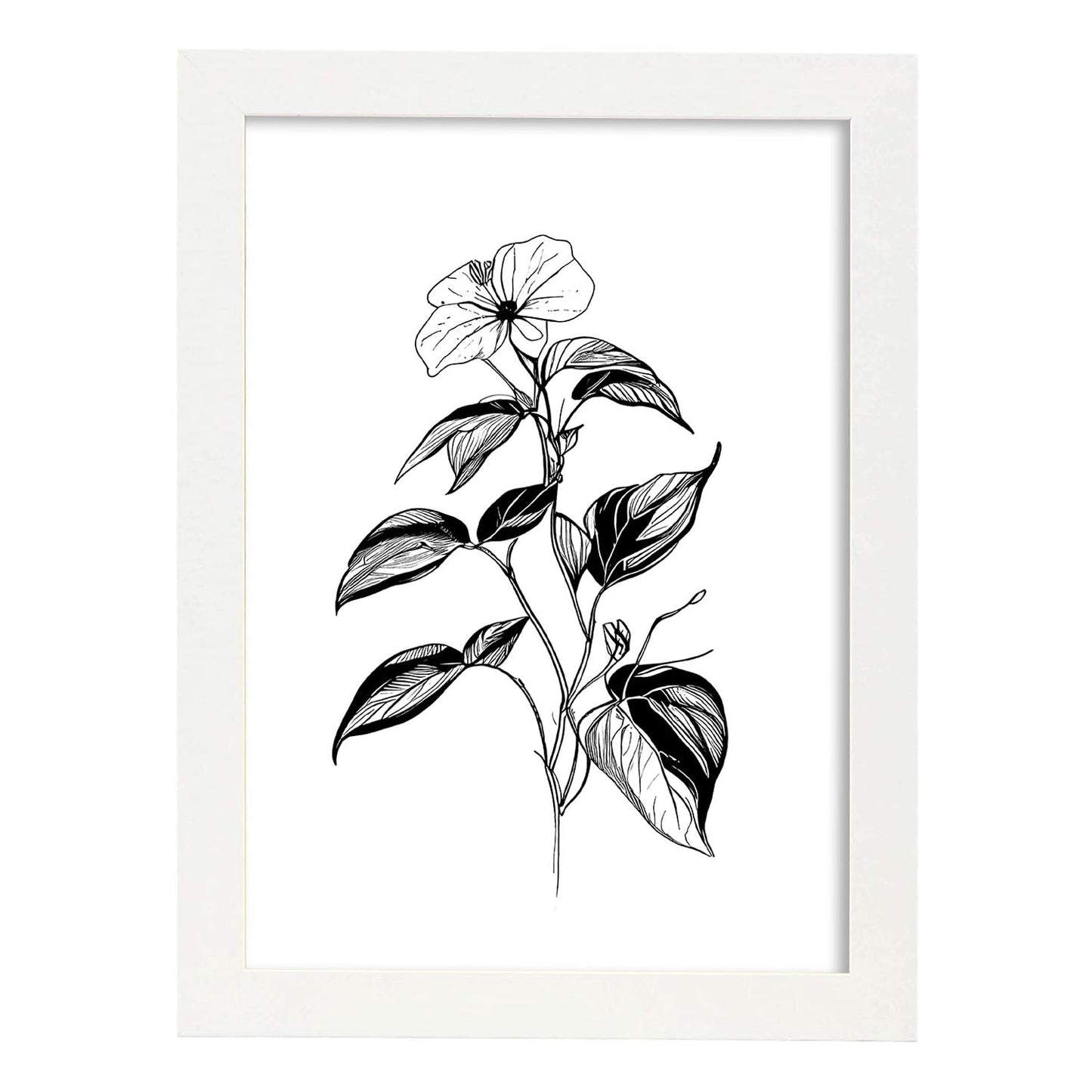 Nacnic Impatiens Arte Minimalista Lineal - Lámina