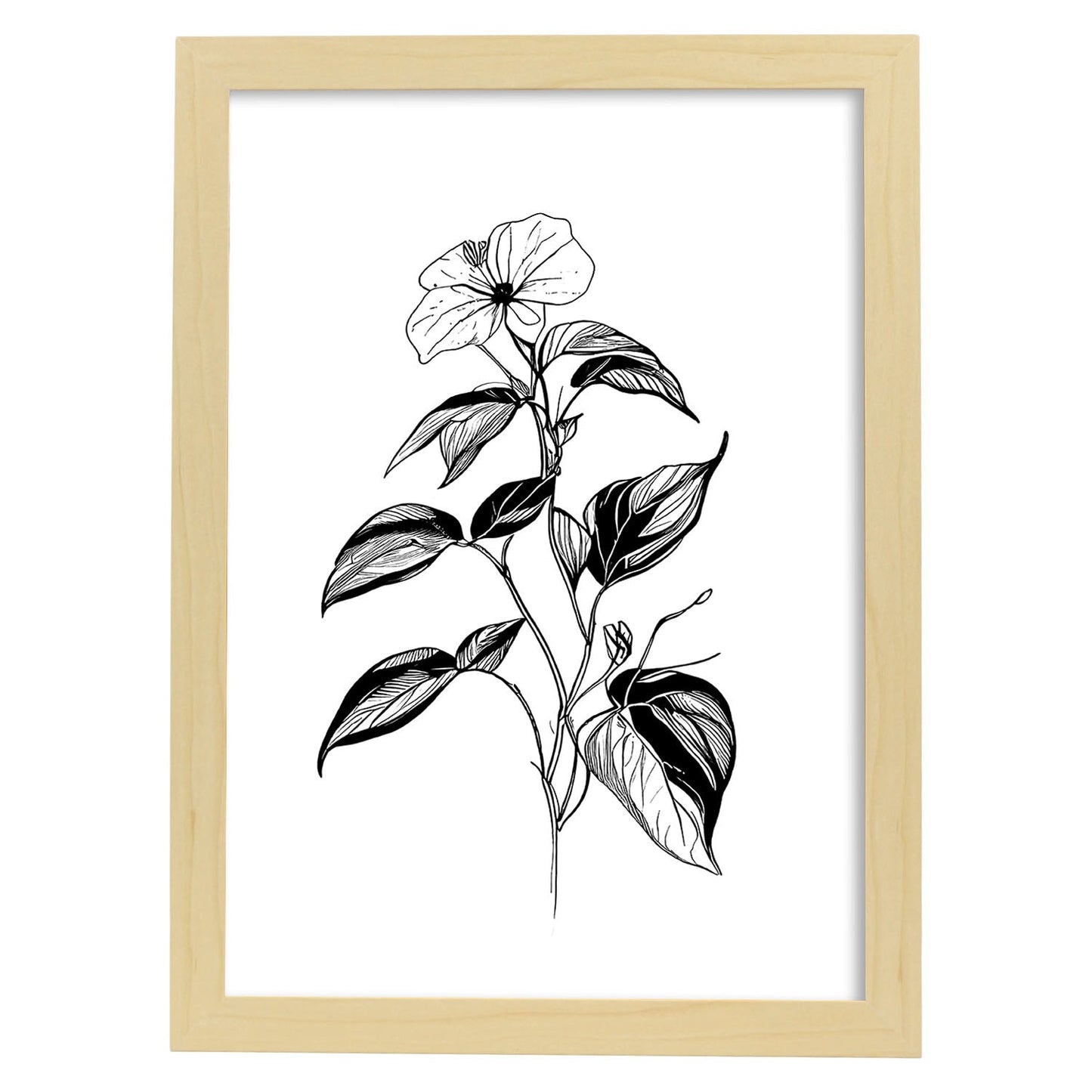 Nacnic Impatiens Arte Minimalista Lineal - Lámina
