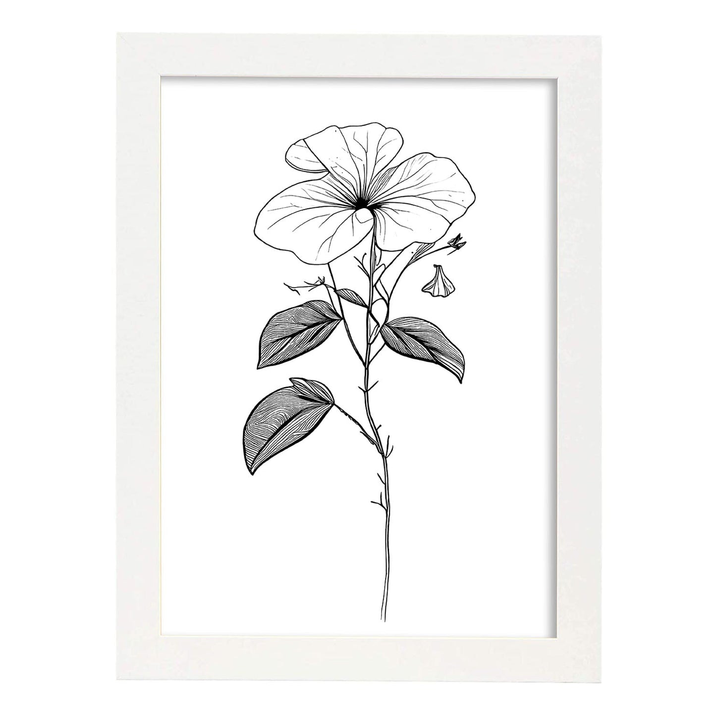 Lámina Nacnic Impatiens Arte Minimalista Lineal_2