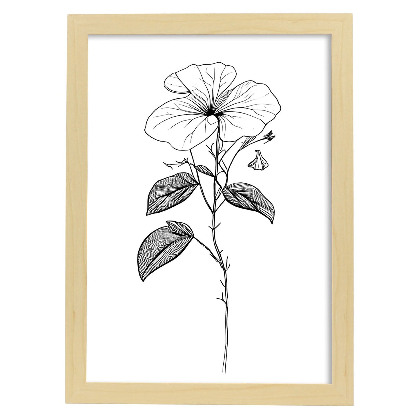 Lámina Nacnic Impatiens Arte Minimalista Lineal_2