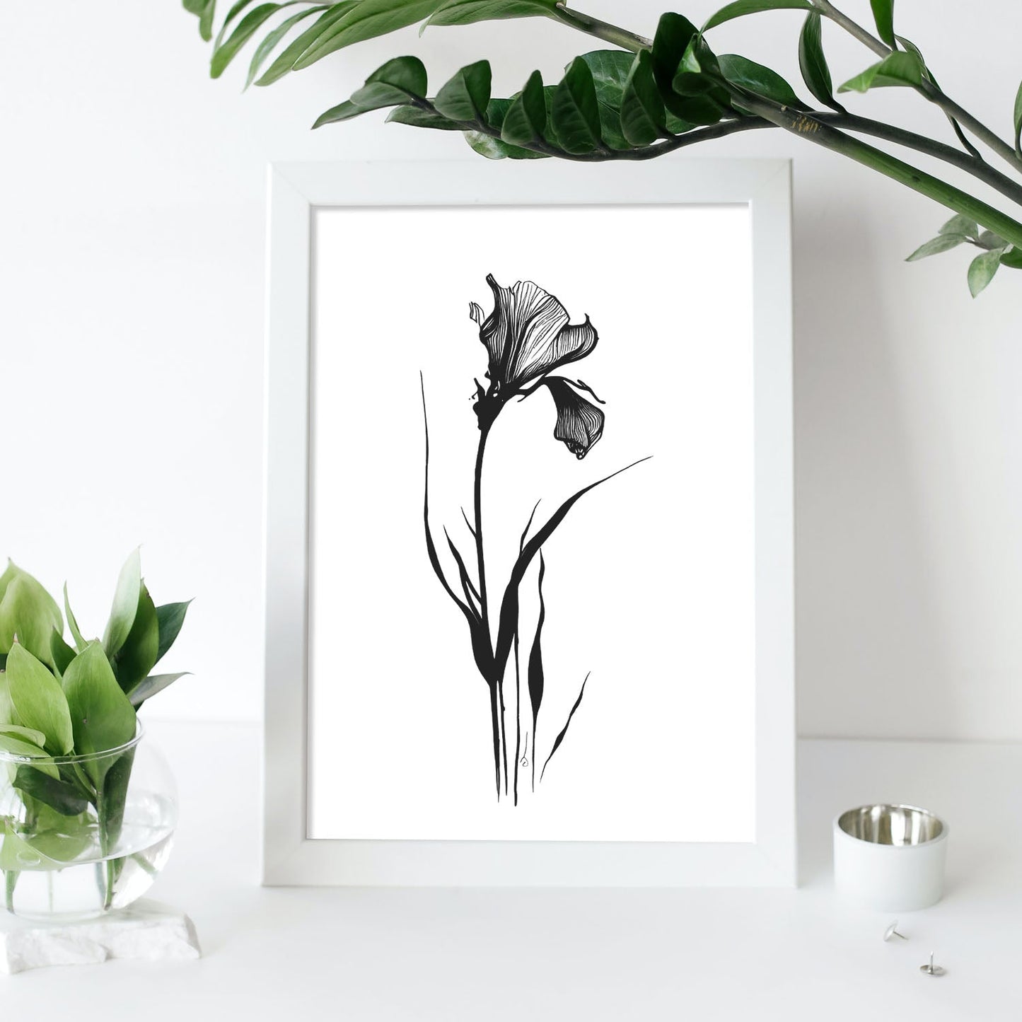 Lámina Minimalista de Iris Nacnic