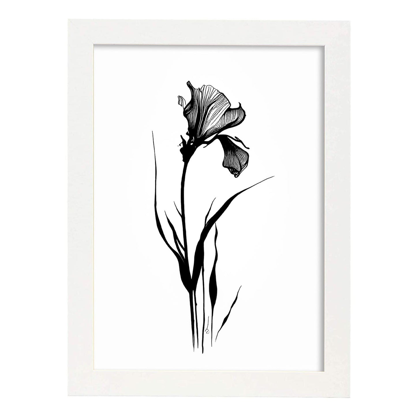 Lámina Minimalista de Iris Nacnic