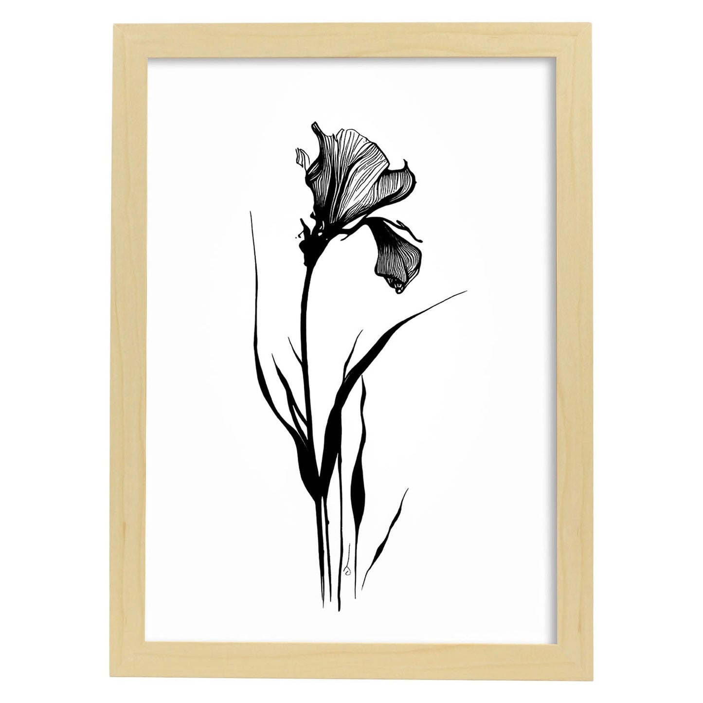 Lámina Minimalista de Iris Nacnic