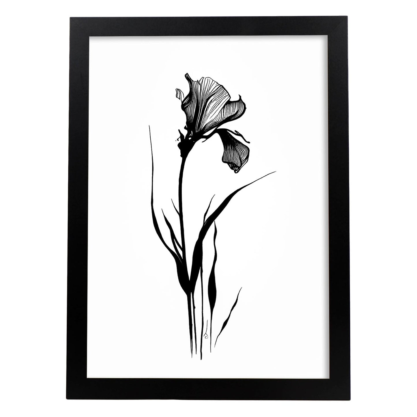 Lámina Minimalista de Iris Nacnic
