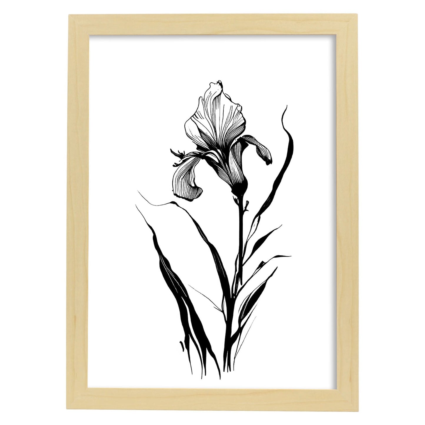 Lámina Minimalista Nacnic Iris Arte Lineal