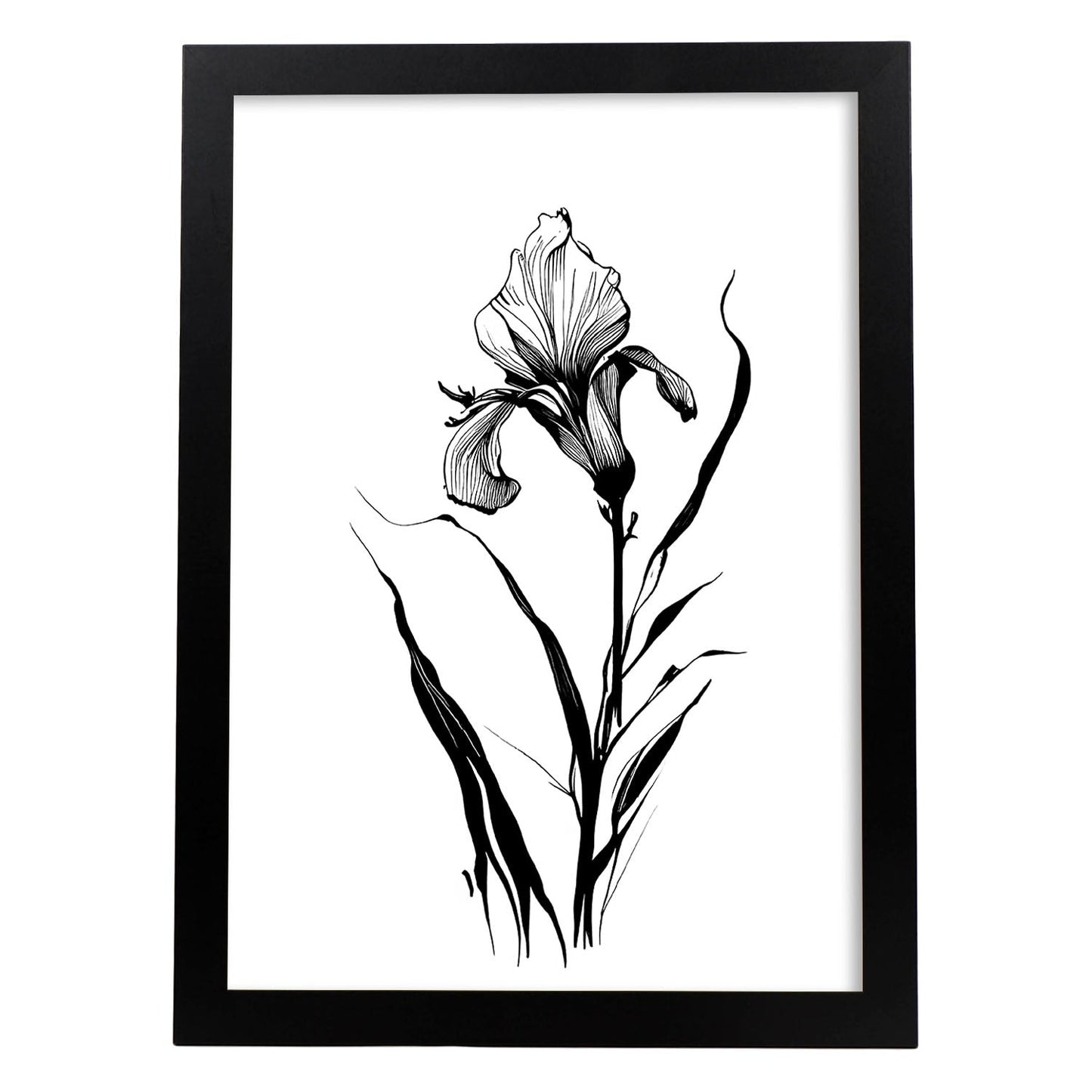 Lámina Minimalista Nacnic Iris Arte Lineal